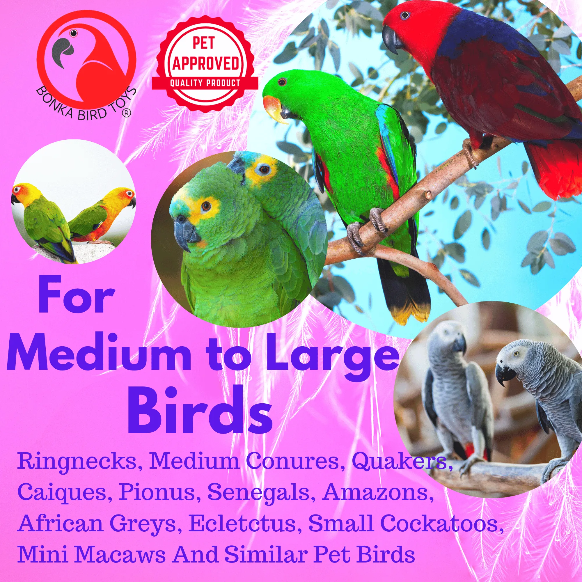 01140 Preen and Spin