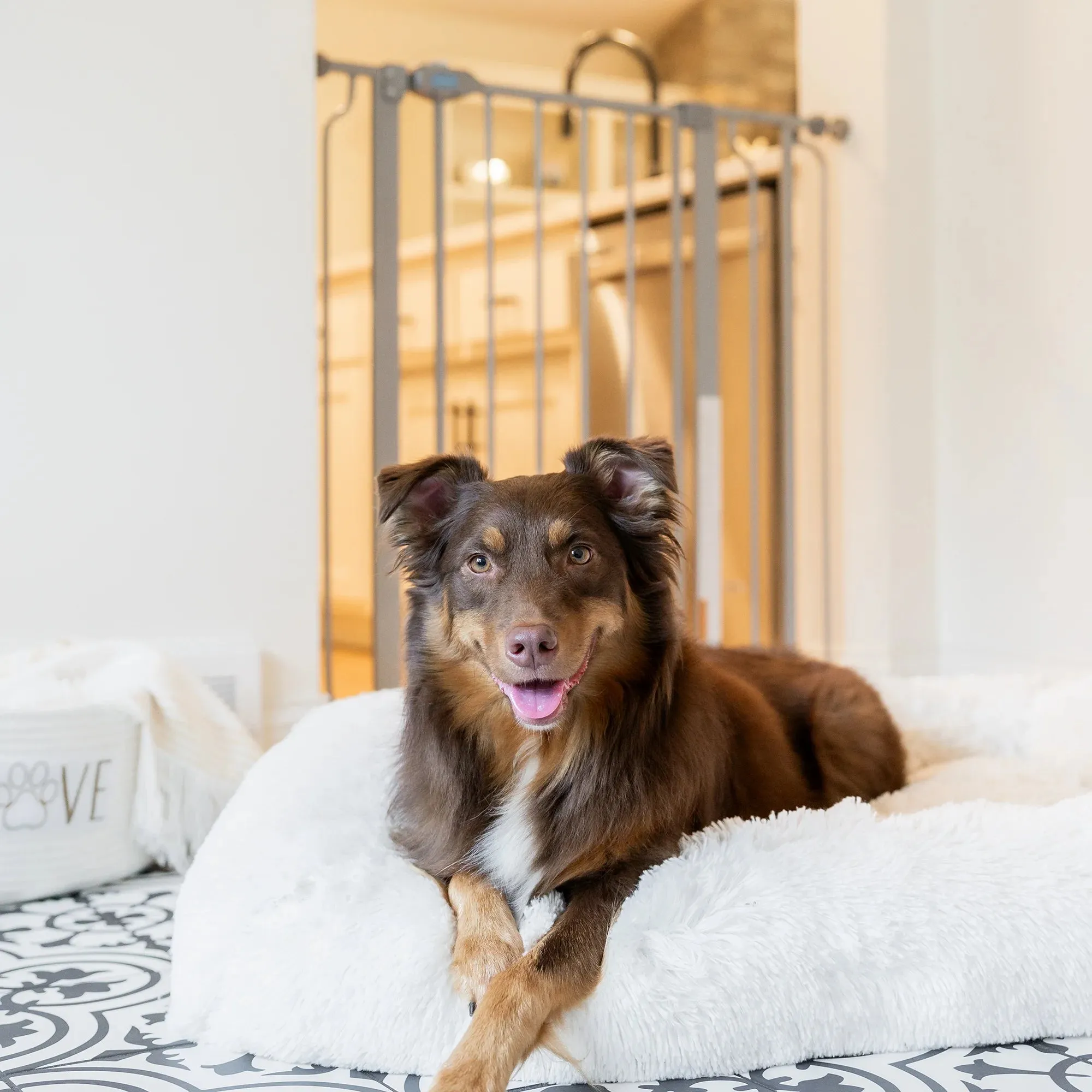 36” Extra Tall Walk-Thru Pet Gate