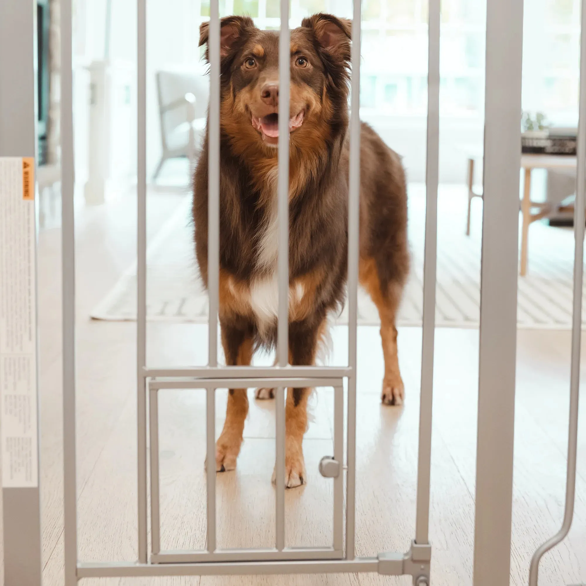 36” Extra Tall Walk-Thru Pet Gate