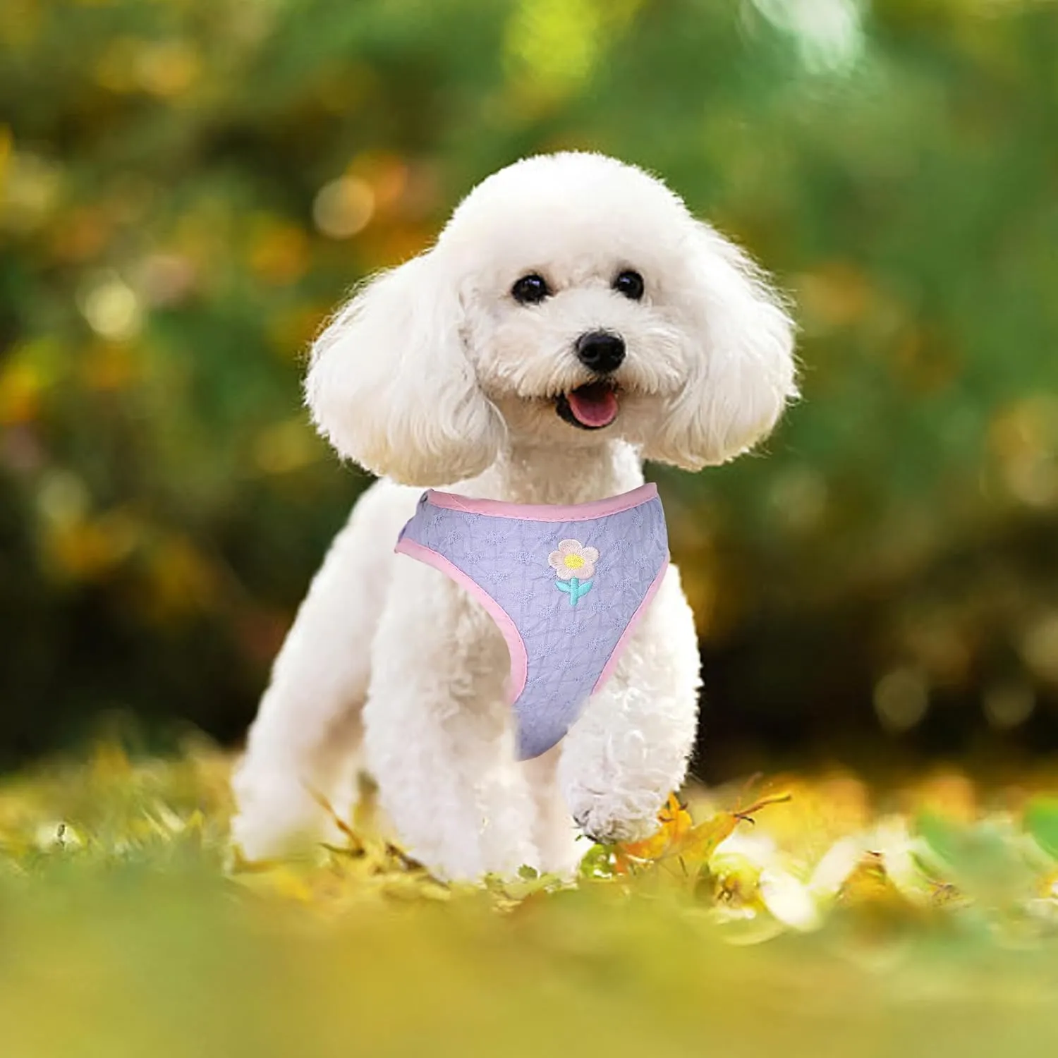AIITLE Breathable Dog Vest Harness and Leash Set - Step in Adjustable Dog Harness with Magic Tape Design and Quick-Release Buckle - Outdoor Walking, Training for Medium Dogs Purple L