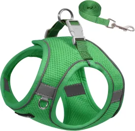 AIITLE Dog Harness and Leash Set, No Pull Step in Puppy Harness with Super Breathable Mesh, Reflective Puppy Essentials for Outdoor Walking, Training for Small Dogs, Cats Green XS