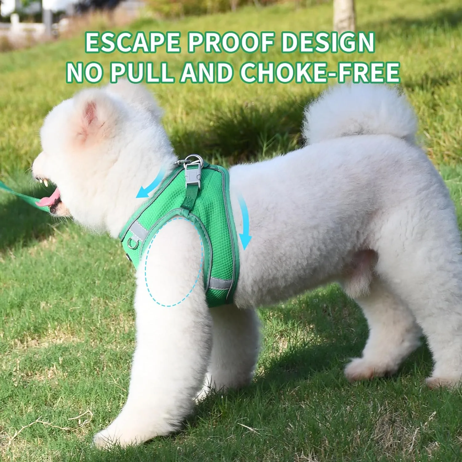 AIITLE Dog Harness and Leash Set, No Pull Step in Puppy Harness with Super Breathable Mesh, Reflective Puppy Essentials for Outdoor Walking, Training for Small Dogs, Cats Green XS