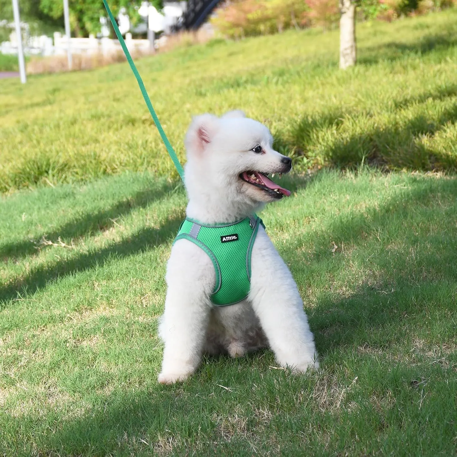 AIITLE Dog Harness and Leash Set, No Pull Step in Puppy Harness with Super Breathable Mesh, Reflective Puppy Essentials for Outdoor Walking, Training for Small Dogs, Cats Green XS