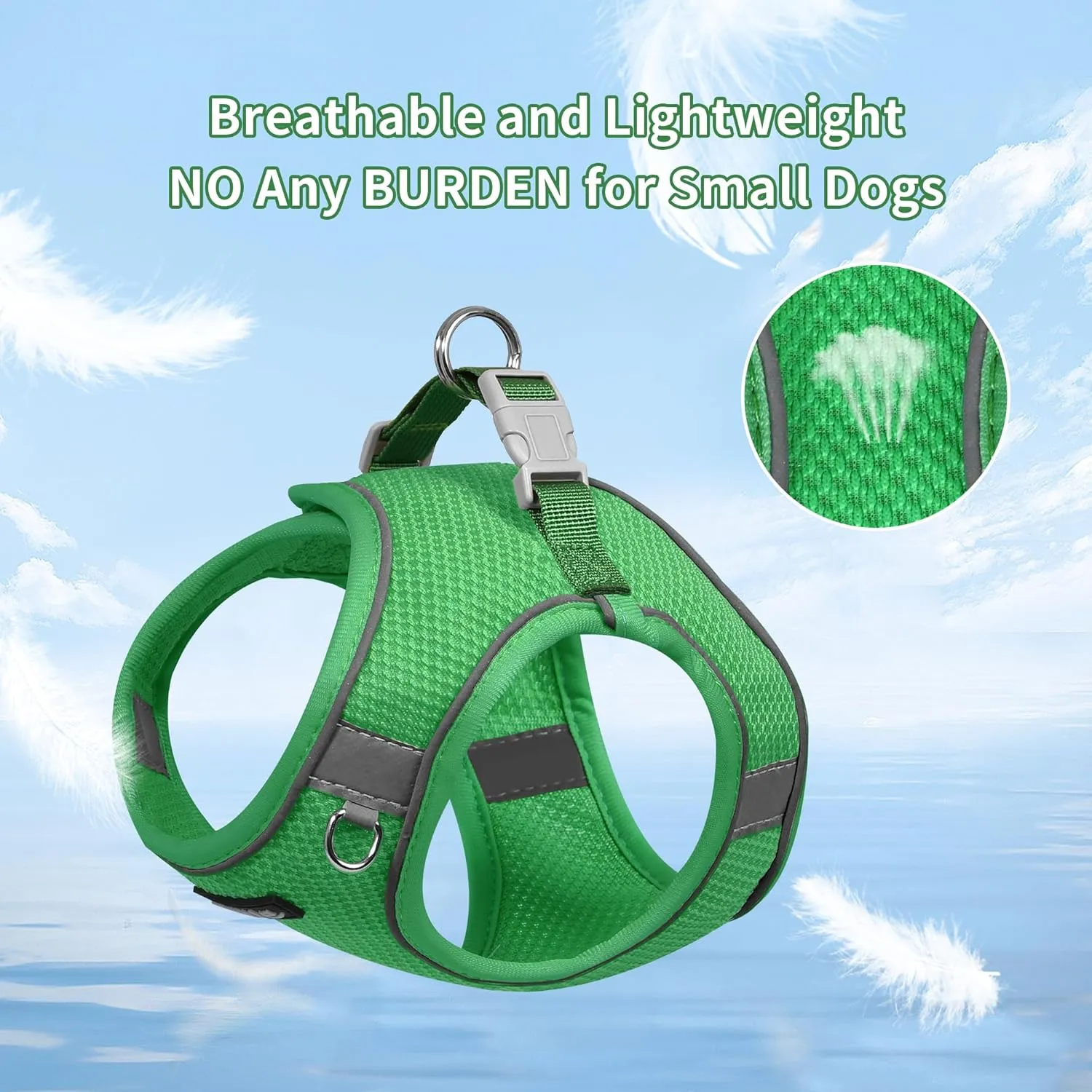 AIITLE Dog Harness and Leash Set, No Pull Step in Puppy Harness with Super Breathable Mesh, Reflective Puppy Essentials for Outdoor Walking, Training for Small Dogs, Cats Green XS