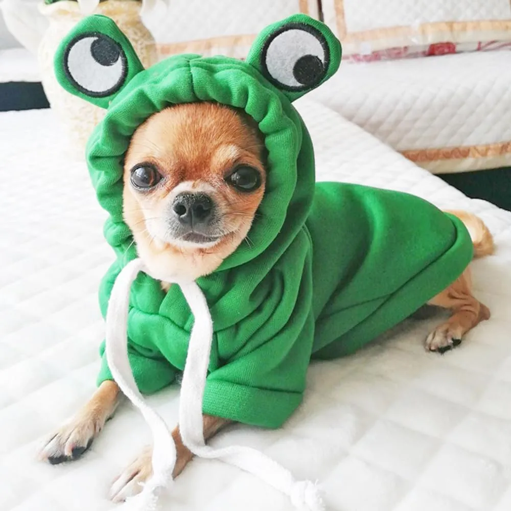 ANIAC Funny Pet Clothes for Small Dog Cat Girl Male Puppy Hoodies Warm Dogs Sweatshirt Coat with Eye Hood Fall Cat Apparel Christmas Halloween Outfit Dog Frog Costume (Green, Small)
