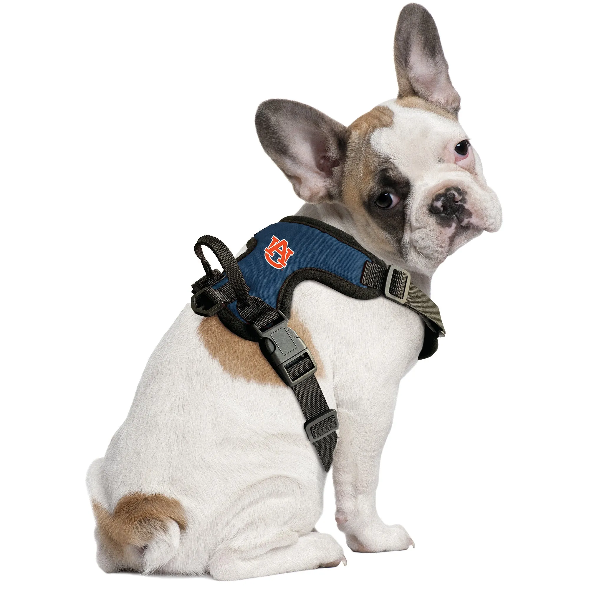 Auburn University Front Clip Pet Harness