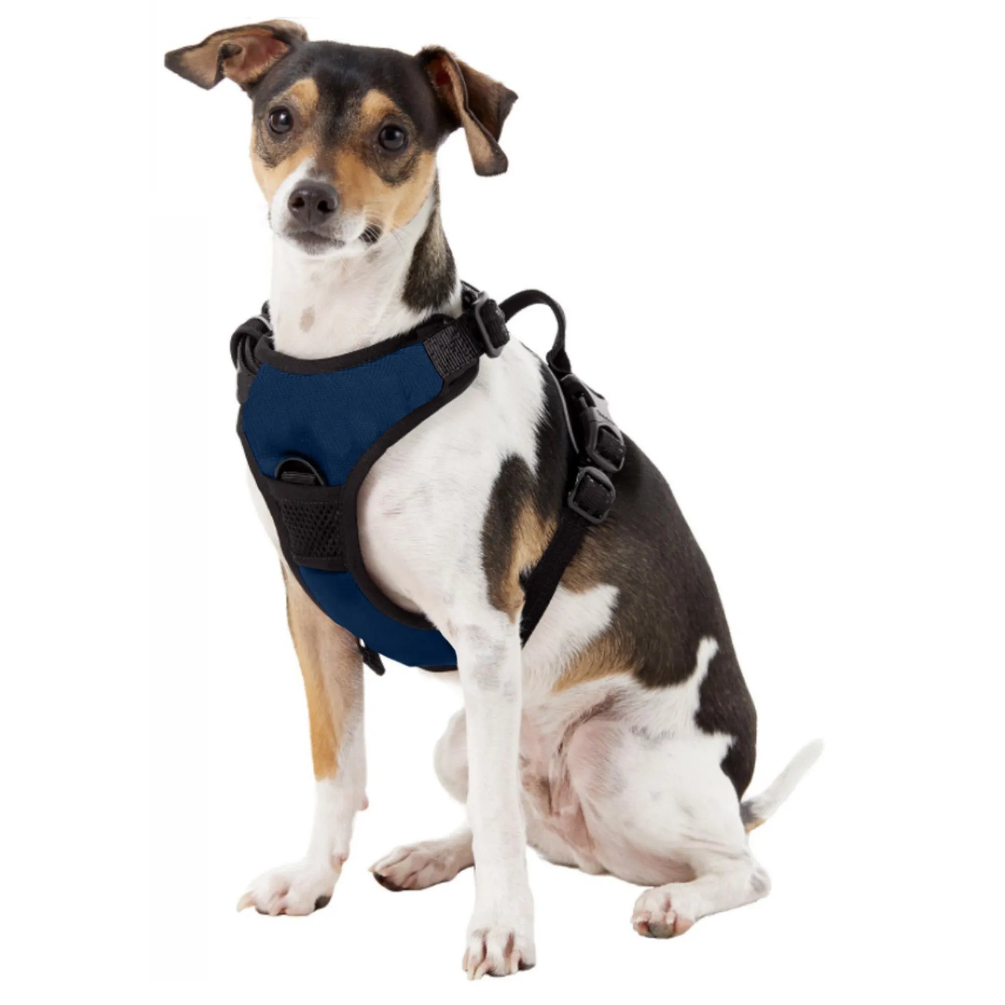 Auburn University Front Clip Pet Harness