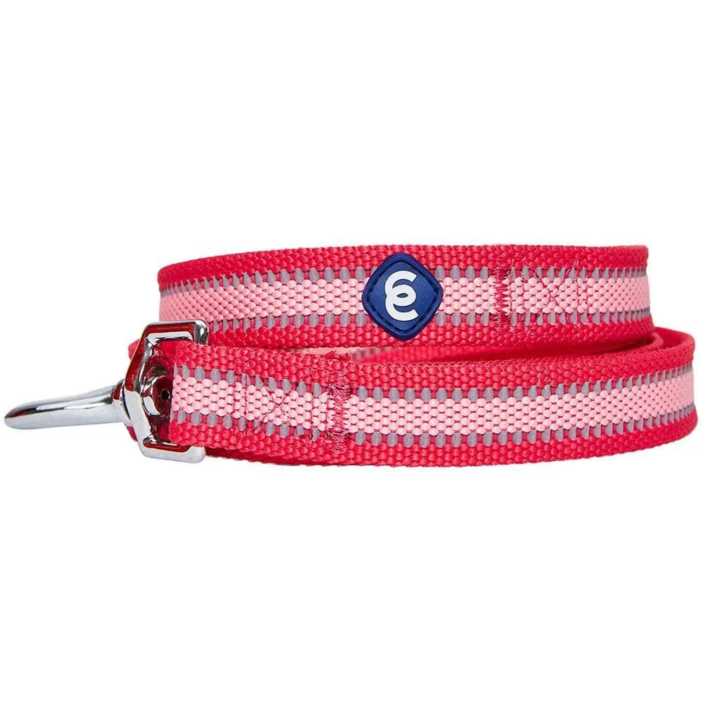 Back to Basics Reflective Dog Leash