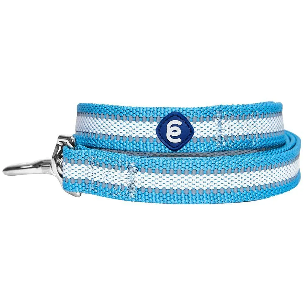 Back to Basics Reflective Dog Leash
