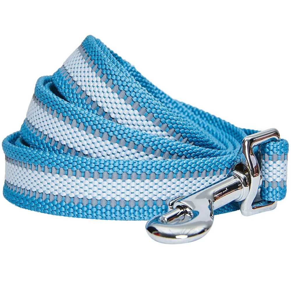 Back to Basics Reflective Dog Leash