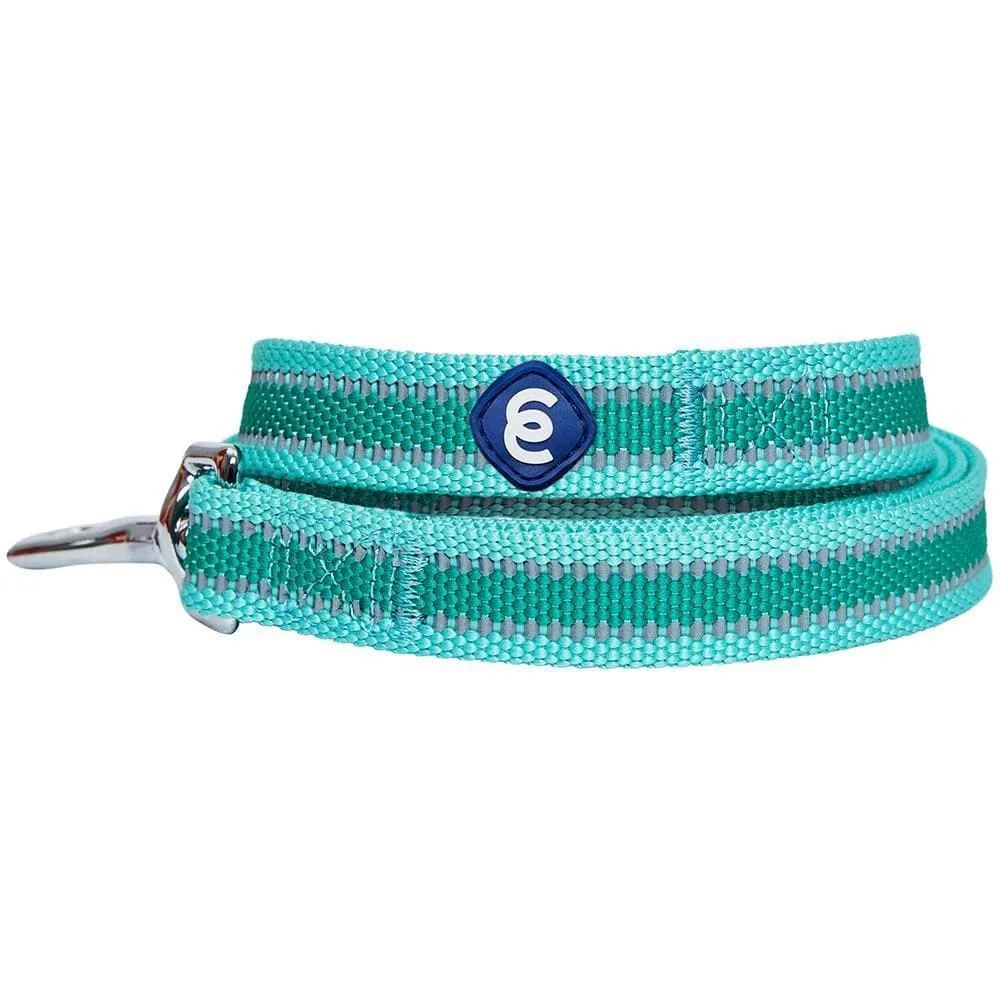 Back to Basics Reflective Dog Leash