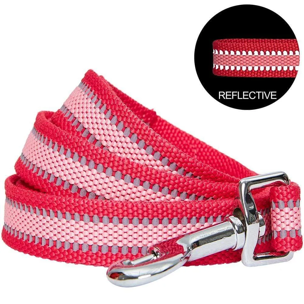 Back to Basics Reflective Dog Leash