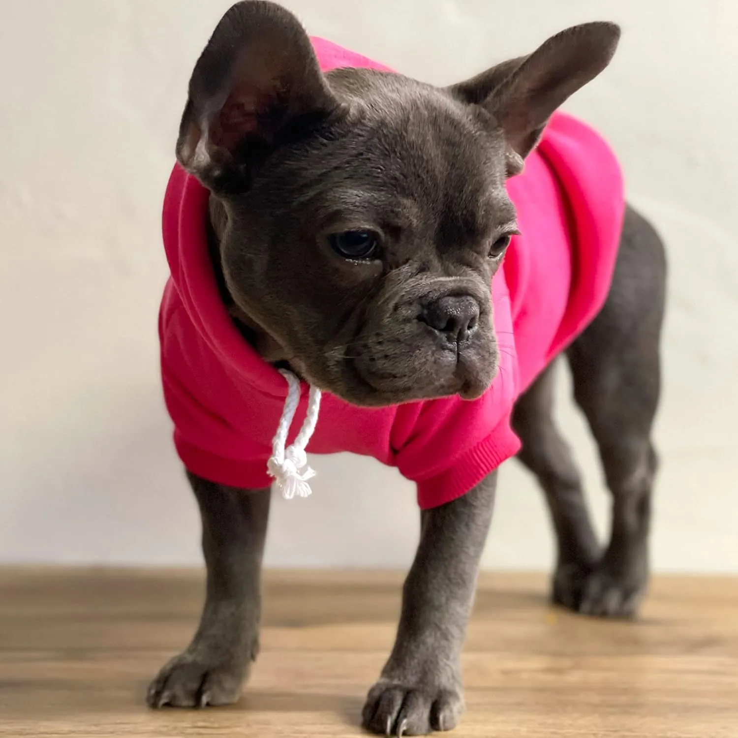 Big Brother (B&W) Dog Hoodie Fleece Lined Pullover Sweatshirt with Leash Hole (Hot Pink, X-Large 894)