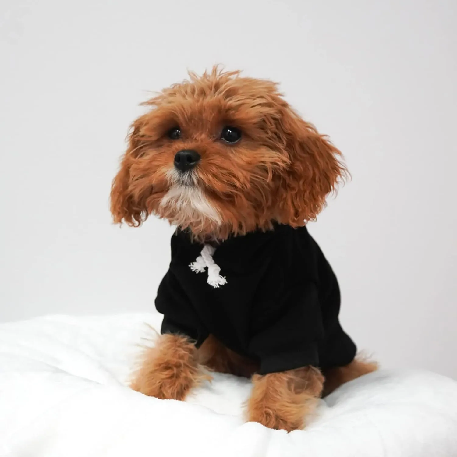 Big Brother (B&W) Dog Hoodie Fleece Lined Pullover Sweatshirt with Leash Hole (Hot Pink, X-Large 894)