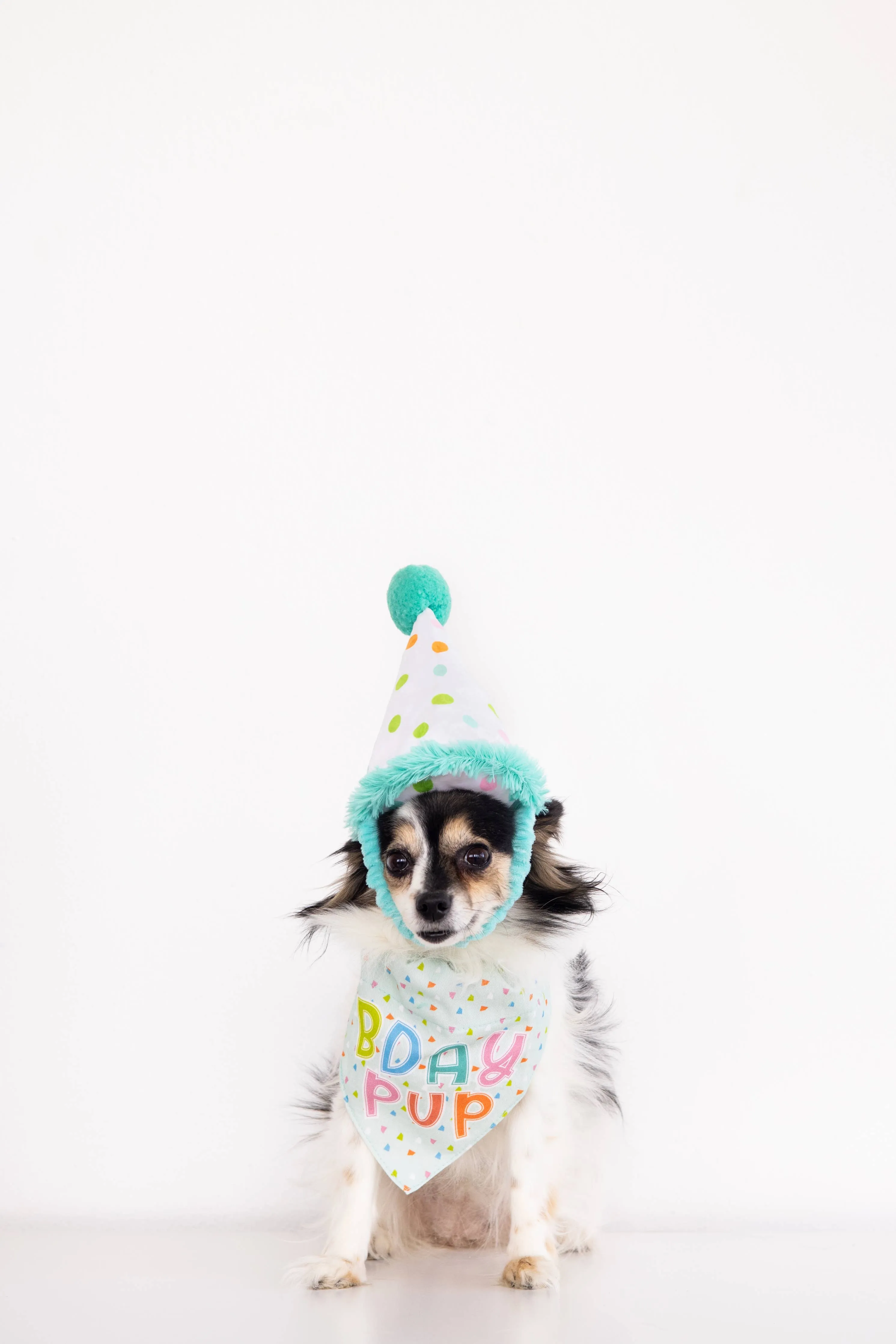 Birthday Pup Bandana Hat Set