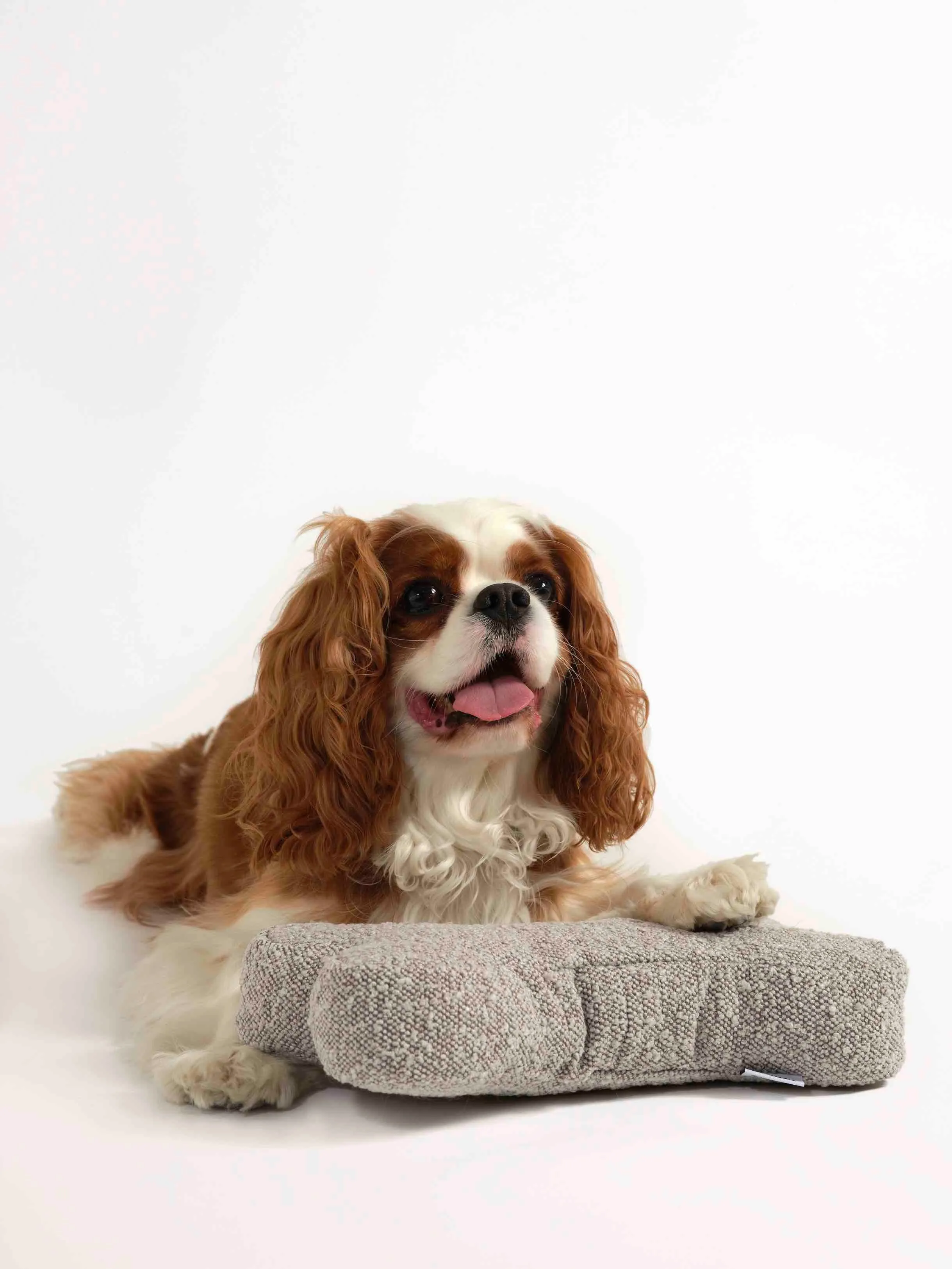 Boucle Bone Pillow - Stone