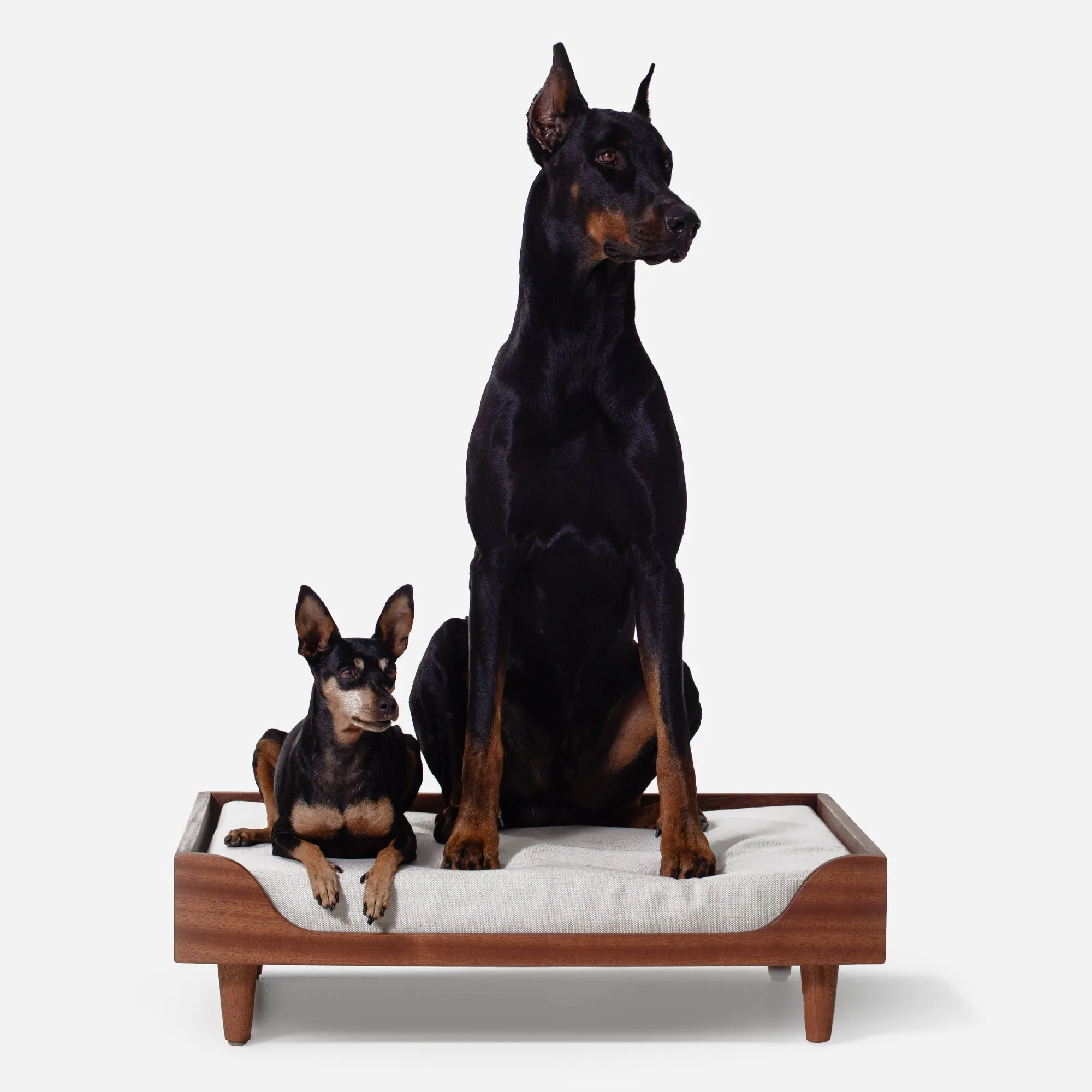 Case Study® Solid Wood Pet Daybed - Large