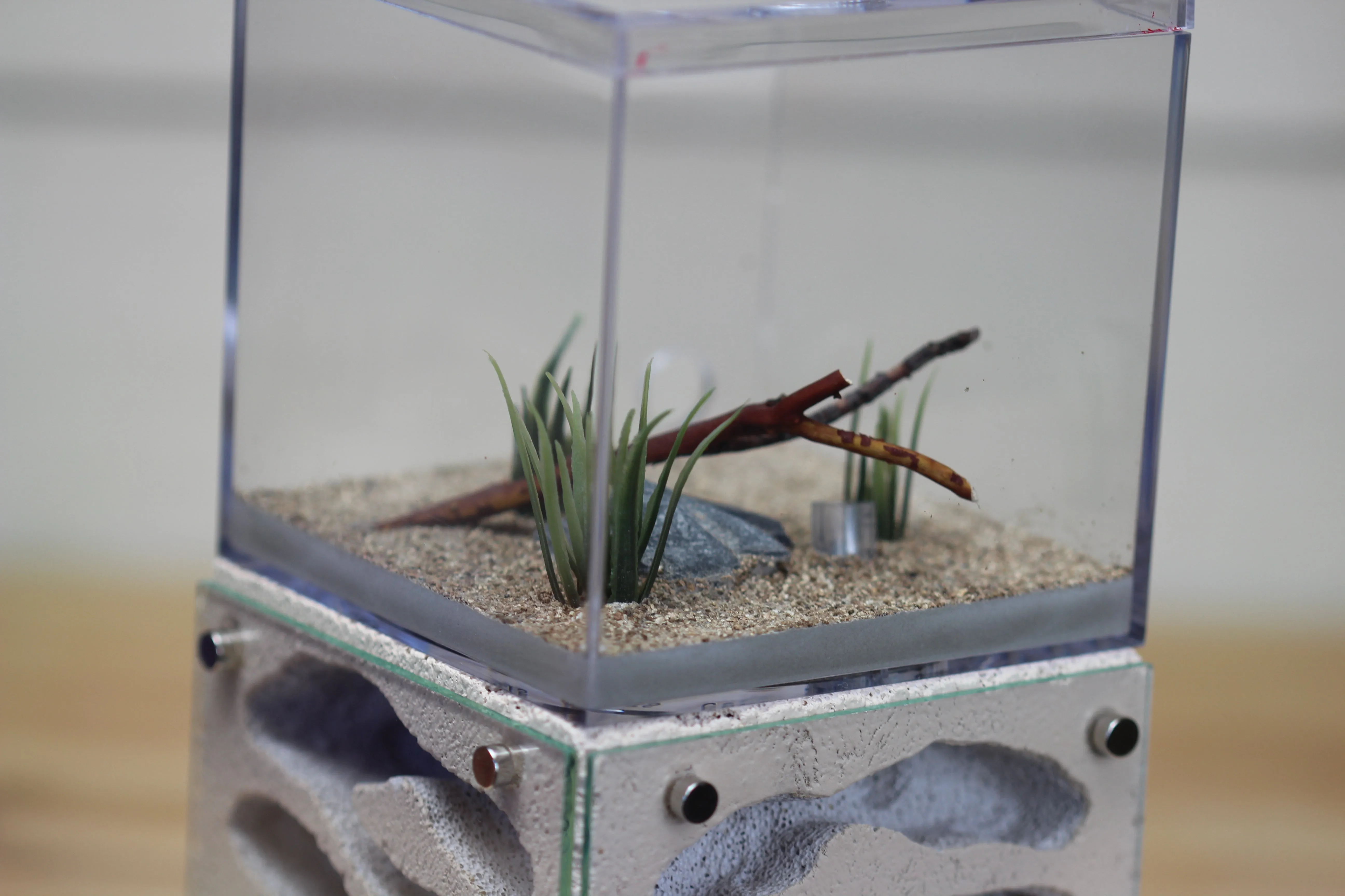 Casita (Bone-white)