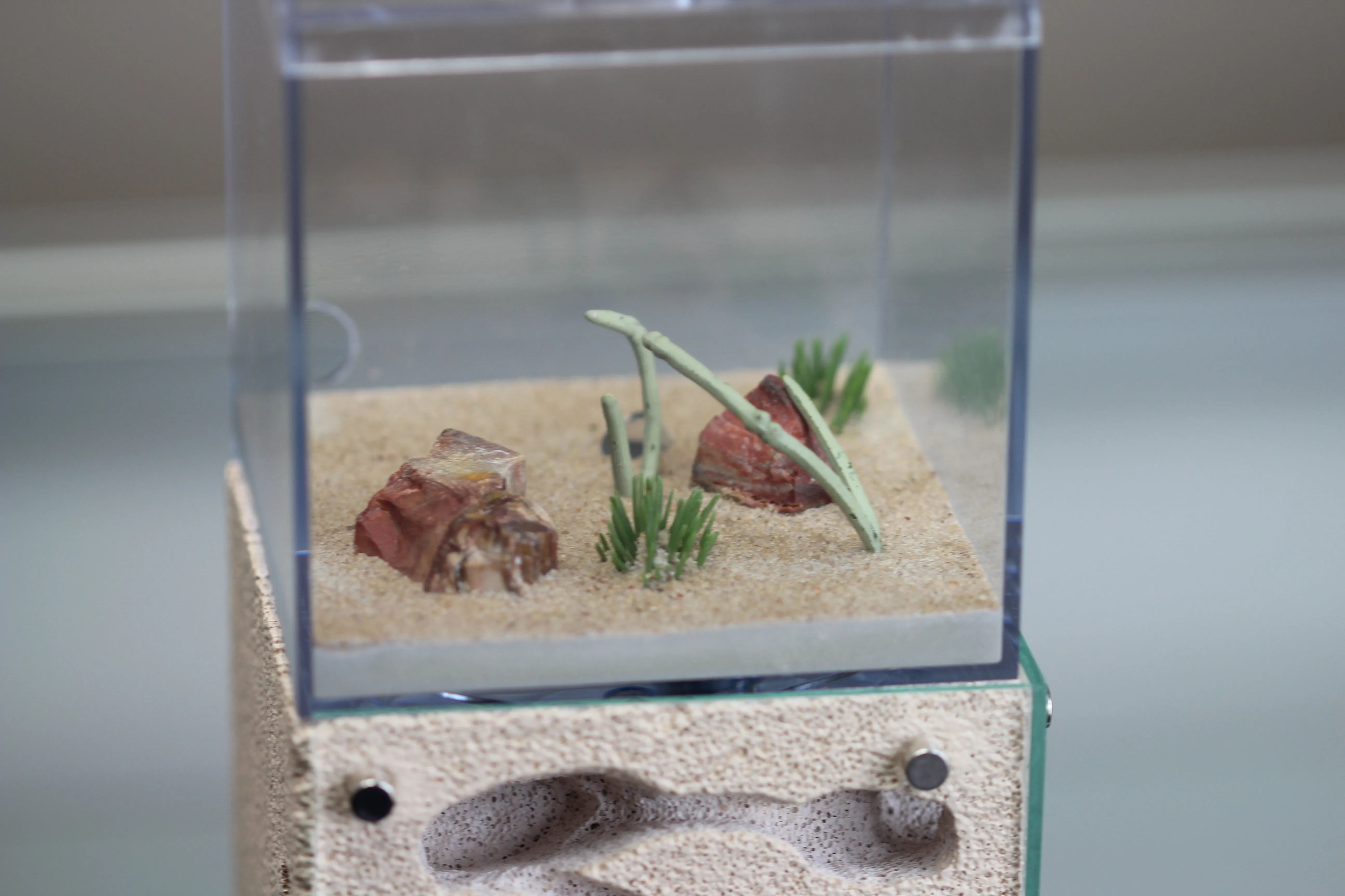 Casita (Custom Bone 2)