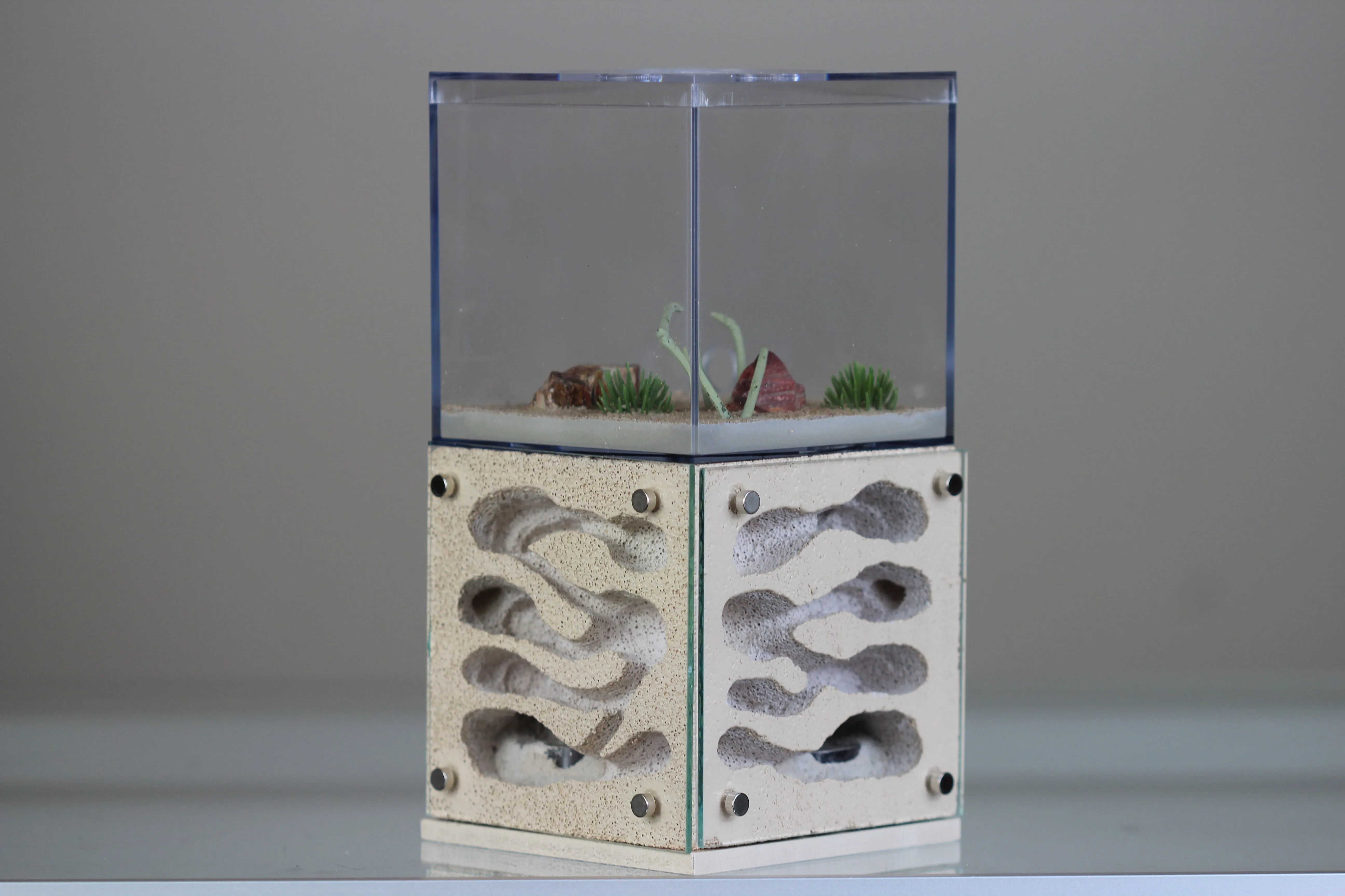 Casita (Custom Bone 2)