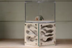 Casita Type I (Bone 112)