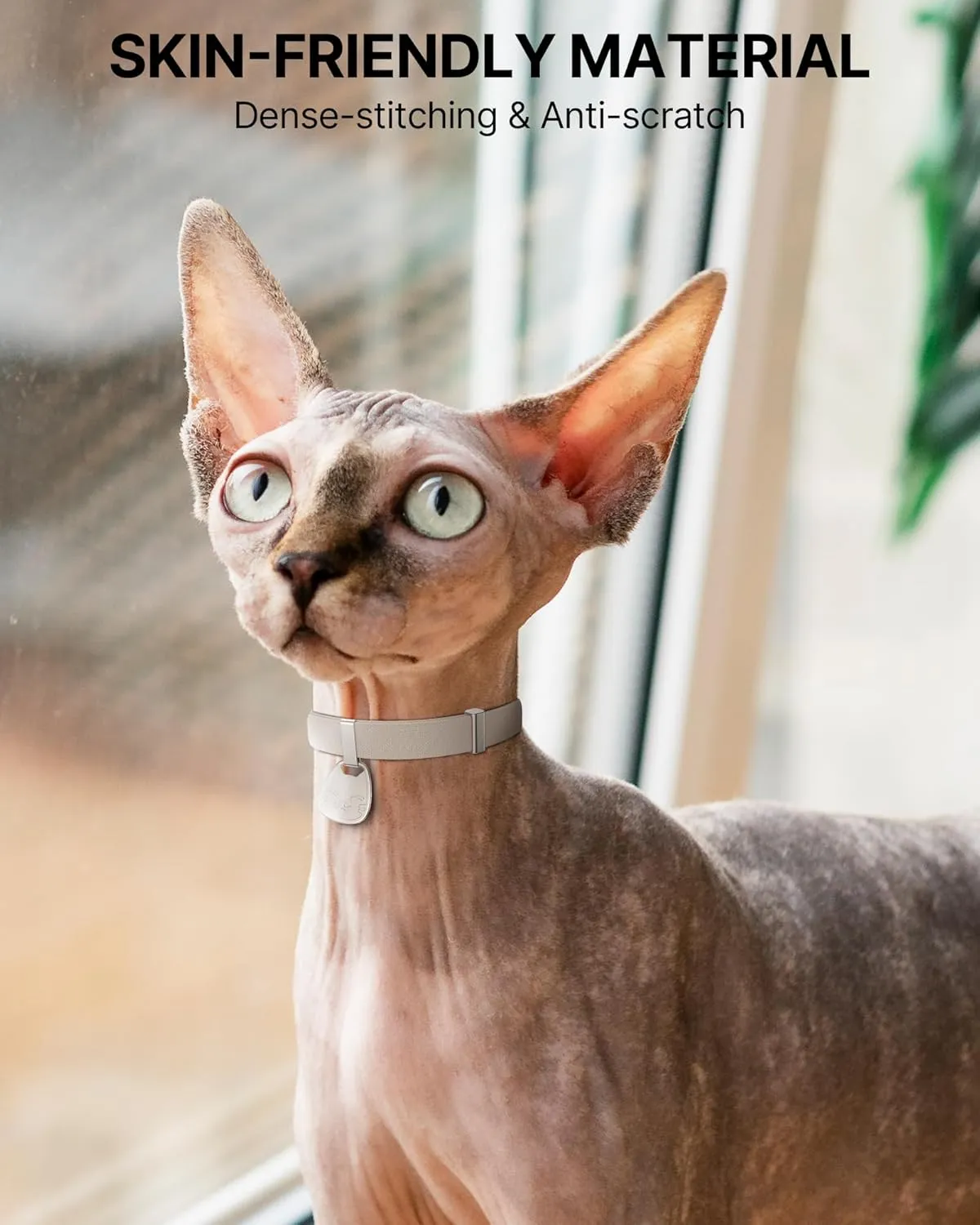 Cat Collar with Name Tag Breakaway: Kitten Collars with QR Code ID Tag for Girl Boy Cats, Ultra Soft & Elastic Adjustable (6"-12") Cat Collar with Break Away Safety Buckle, Khaki