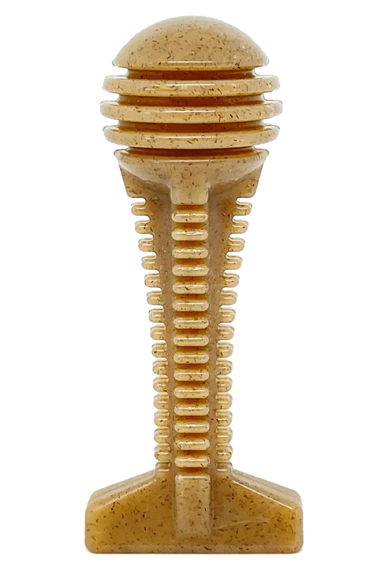 Chew Resistant Dental Toy | Nylon Honey Bone