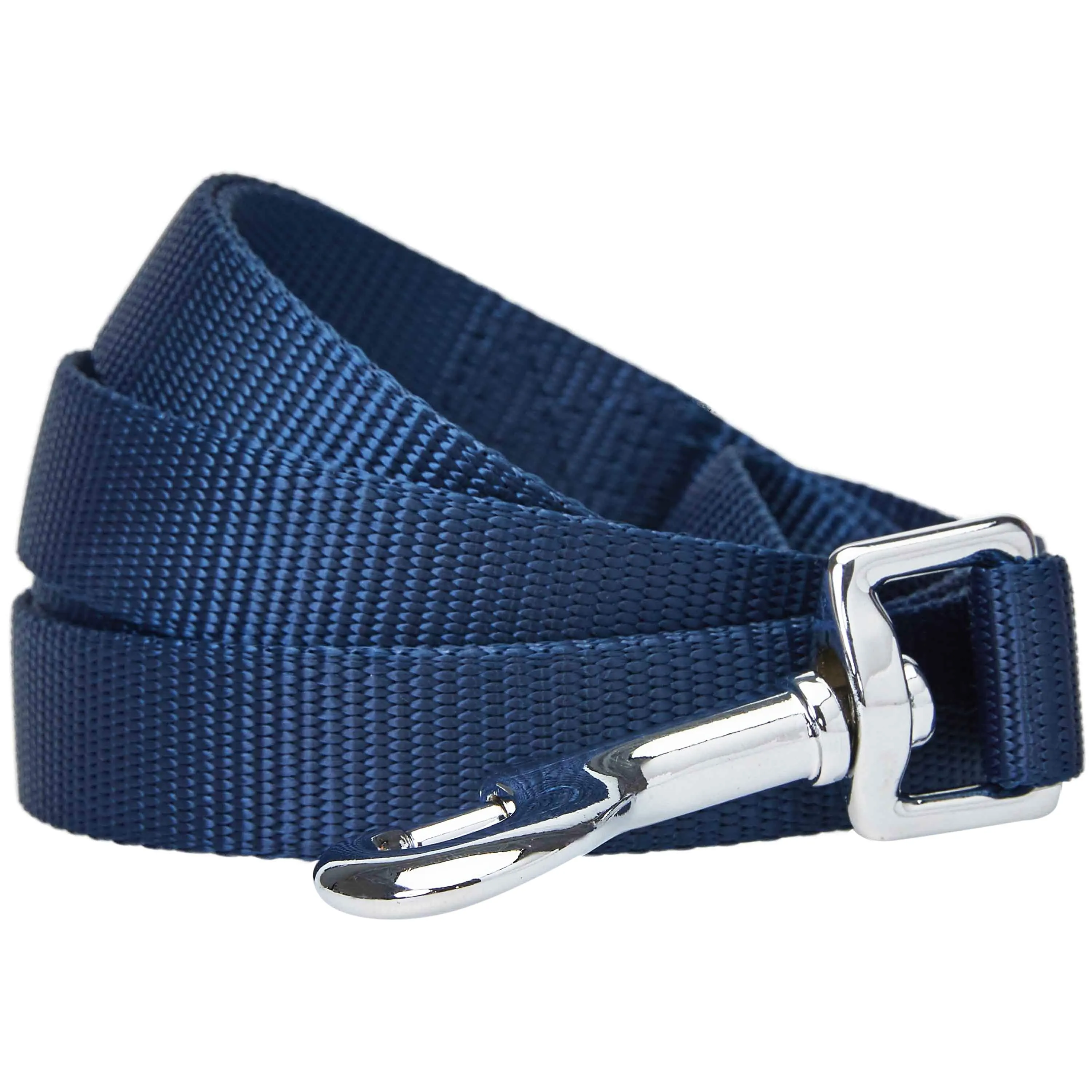 Classic Solid Color Dog Leash, Blue