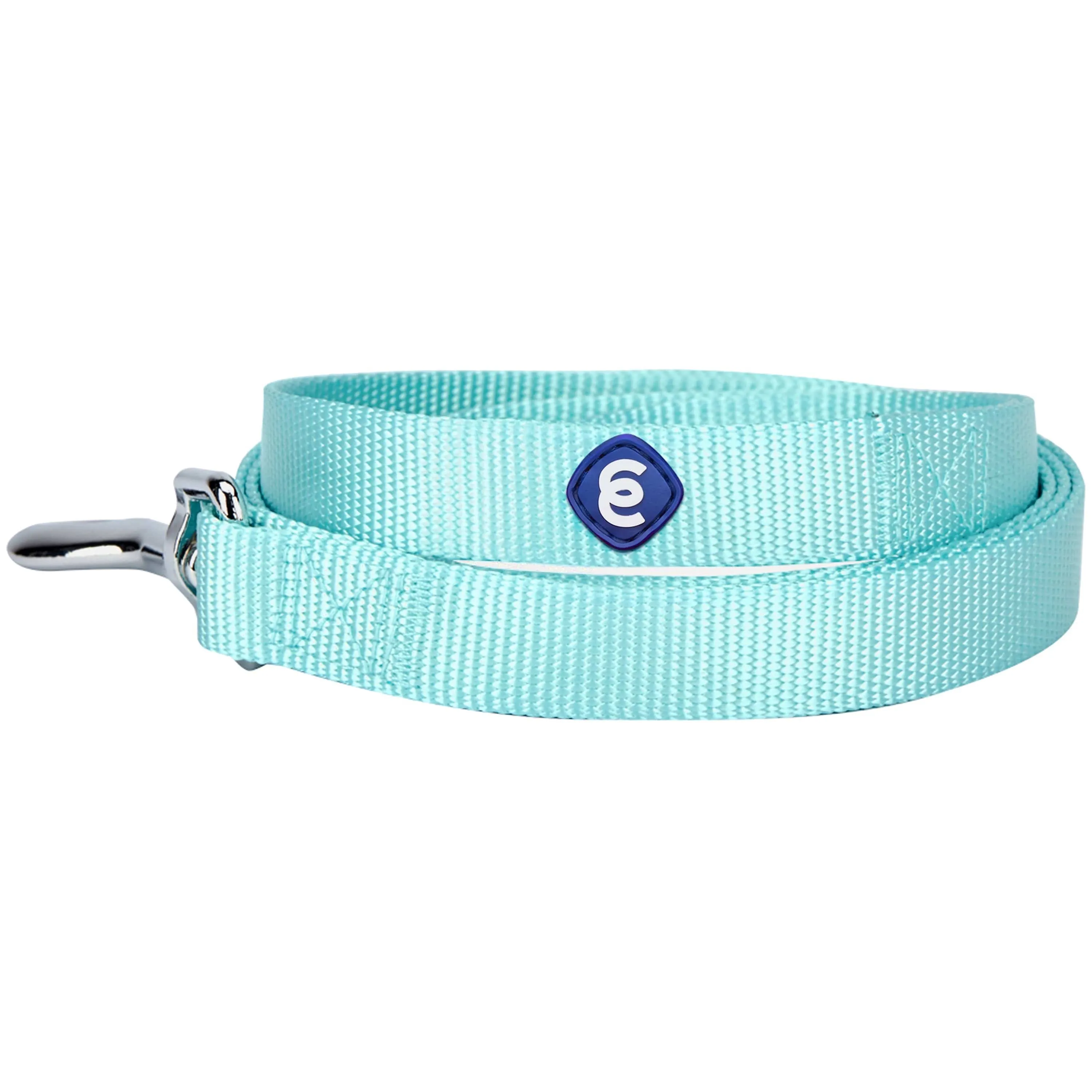 Classic Solid Color Dog Leash, Blue