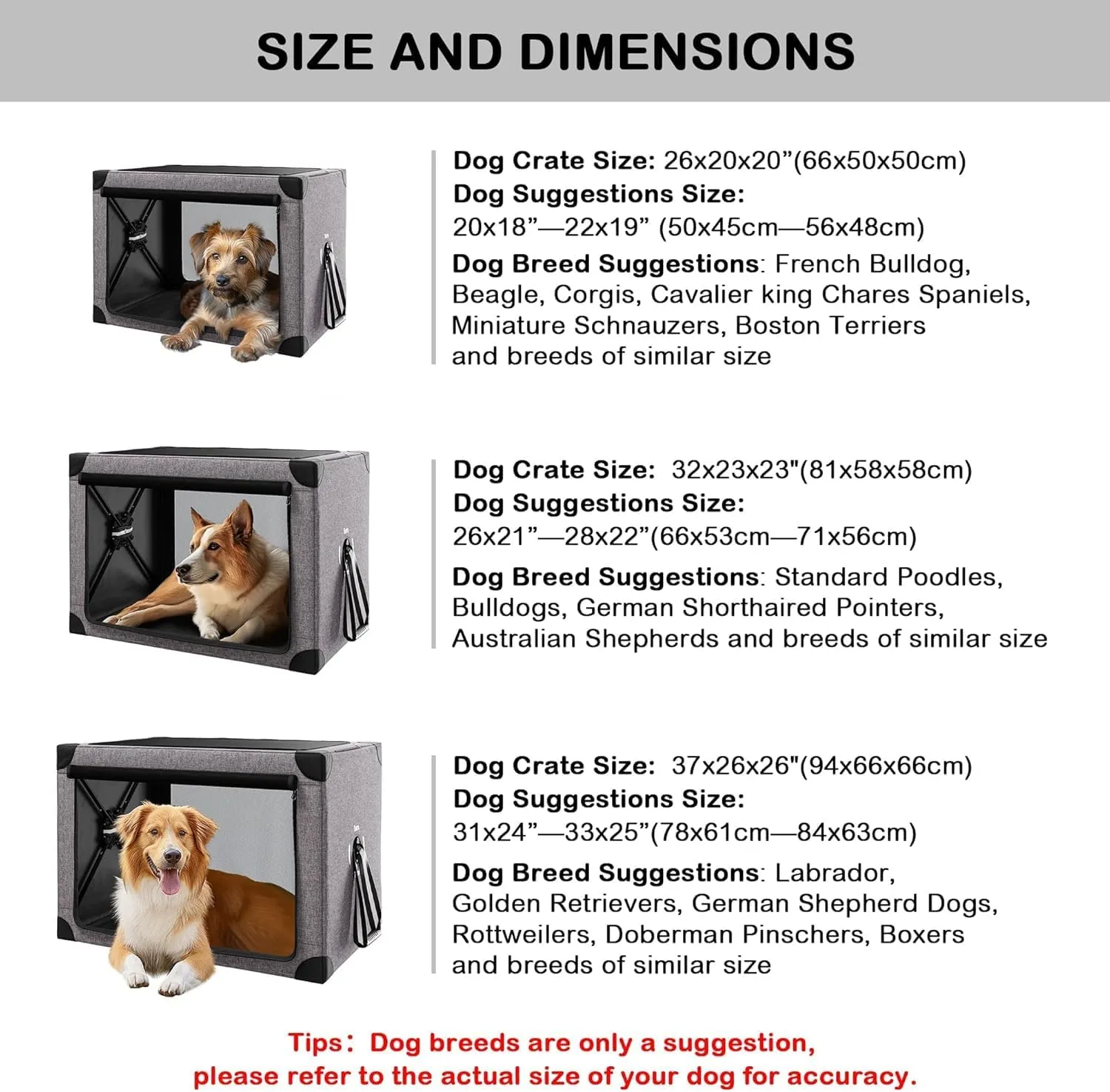 Collapsible Dog Crate - 32 Inch Portable Dog Travel Crate for Medium Dogs, Foldable Dog Crate with Detachable Storage Bag, Removable Pad, and Mesh Windows for Outdoor & Indoor
