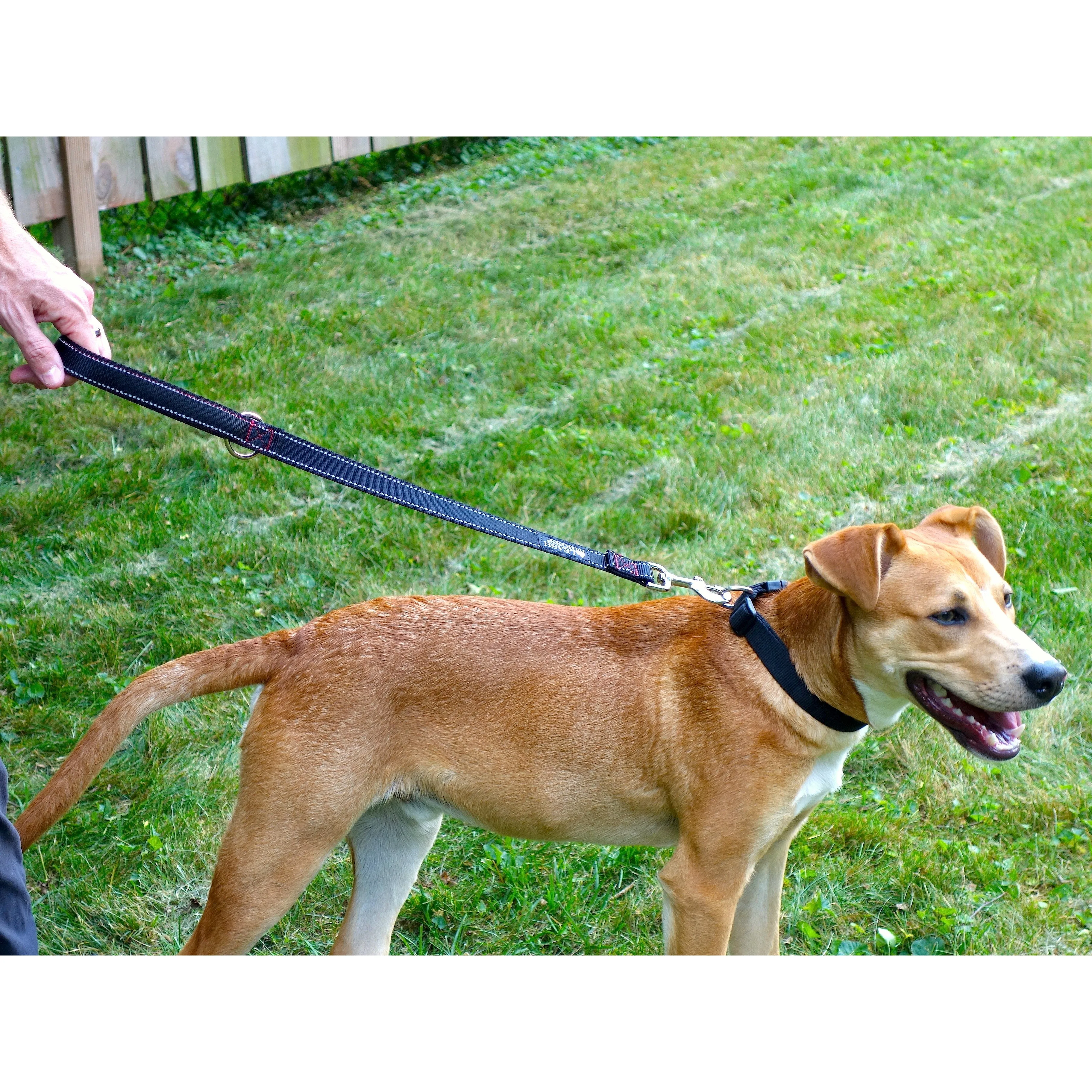Copy of 24 Inch Padded Handle Leash with Reflective Webbing and O-Ring