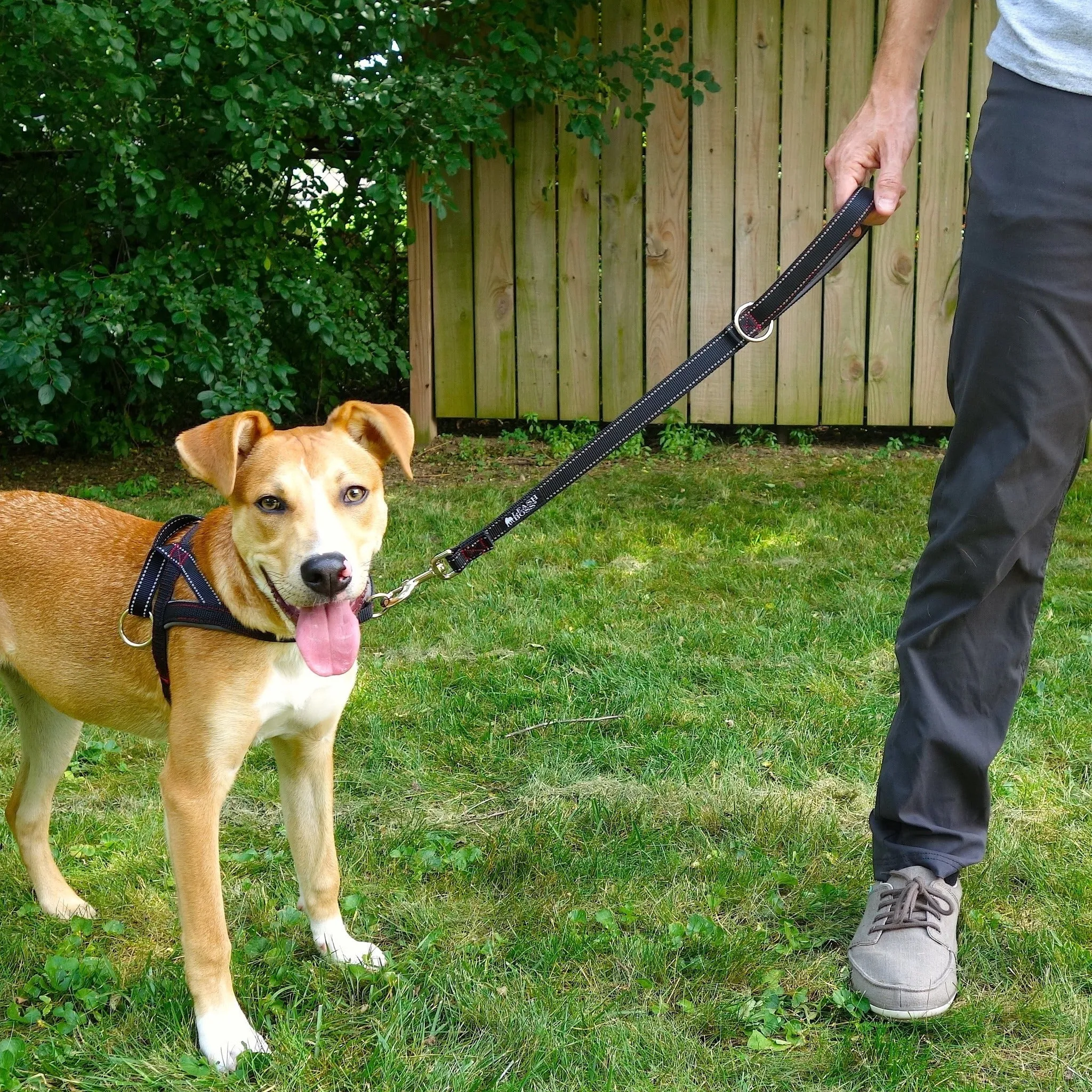 Copy of 24 Inch Padded Handle Leash with Reflective Webbing and O-Ring