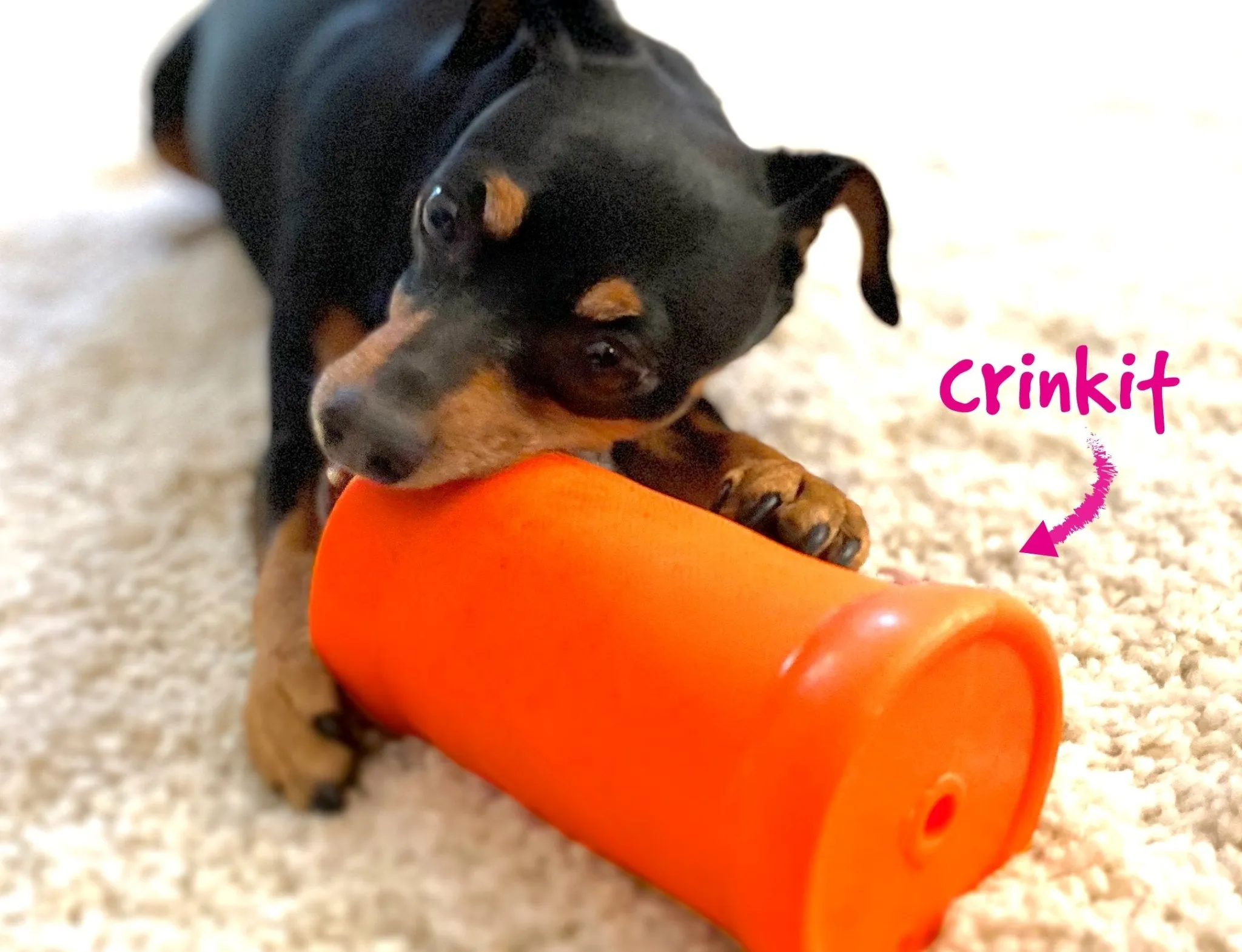 Crinkit - Ruff Dawg