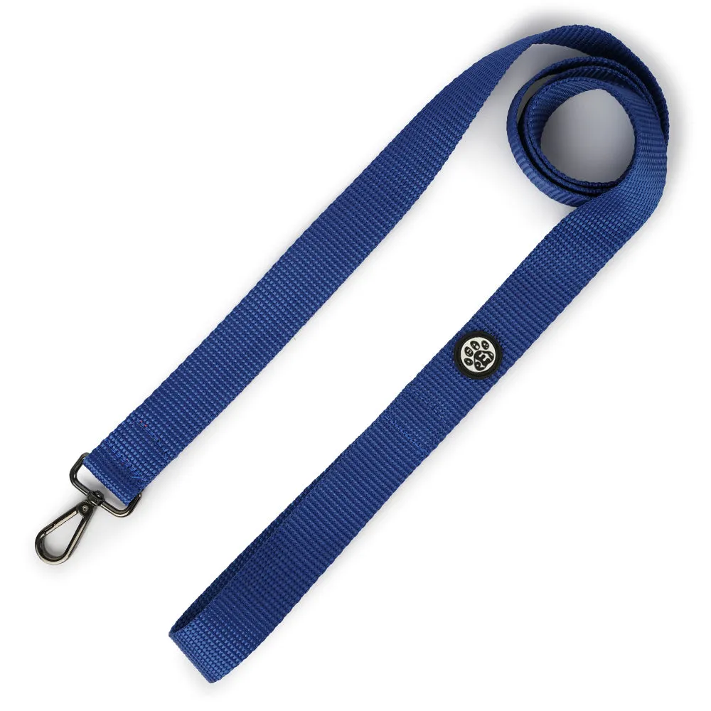 Dear Pet Nylon Dog Collar-Leash Set in Blue
