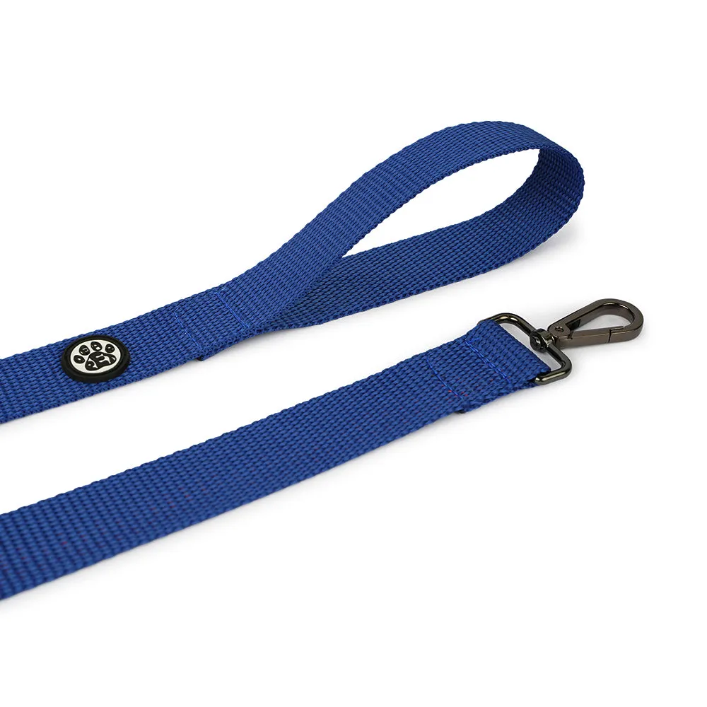 Dear Pet Nylon Dog Collar-Leash Set in Blue