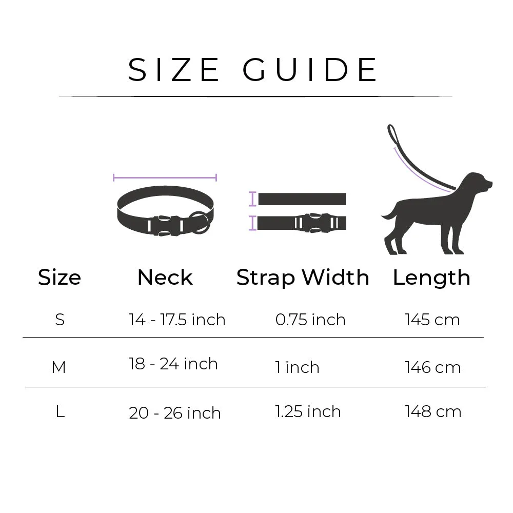Dear Pet Nylon Dog Collar-Leash Set in Blue