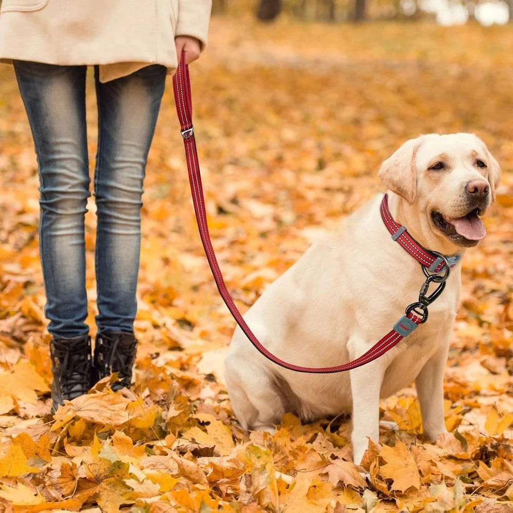 DOCO® VARIO Nylon Dog Leash with Reflective Thread 6ft