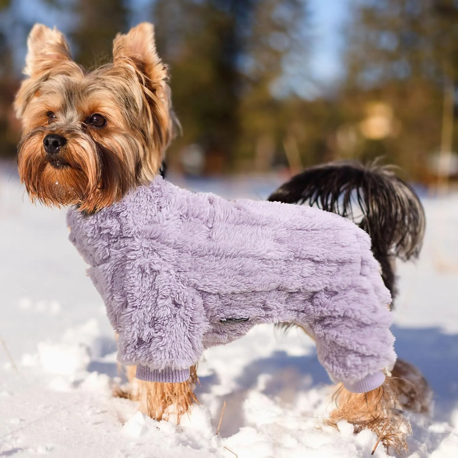 Dog Pajamas for Small Dogs Boy Girl, Turtleneck Pullover Sweater Thick Warm Clothes, Cold Weather Fleece Coat, Puppy Pjs Chihuahua Yorkie Winter Onesies Pet Doggie Male Female (Purple, XX-Small)