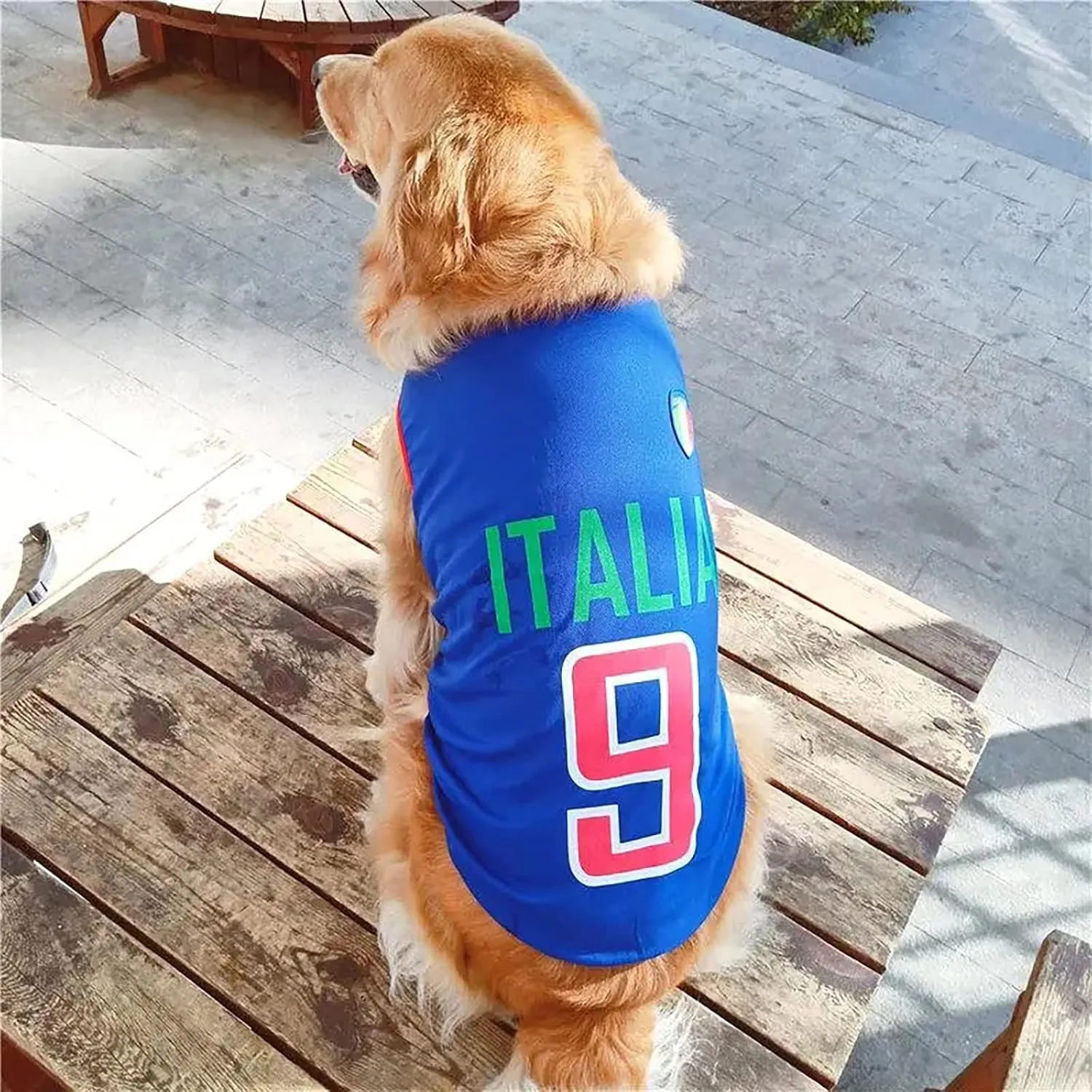 GabeFish Dog World Cup T Shirt Pets Football Jersey Sports Soccer National Team Vest Cat Summer Cool Clothes Apparel Italy 5X-Large