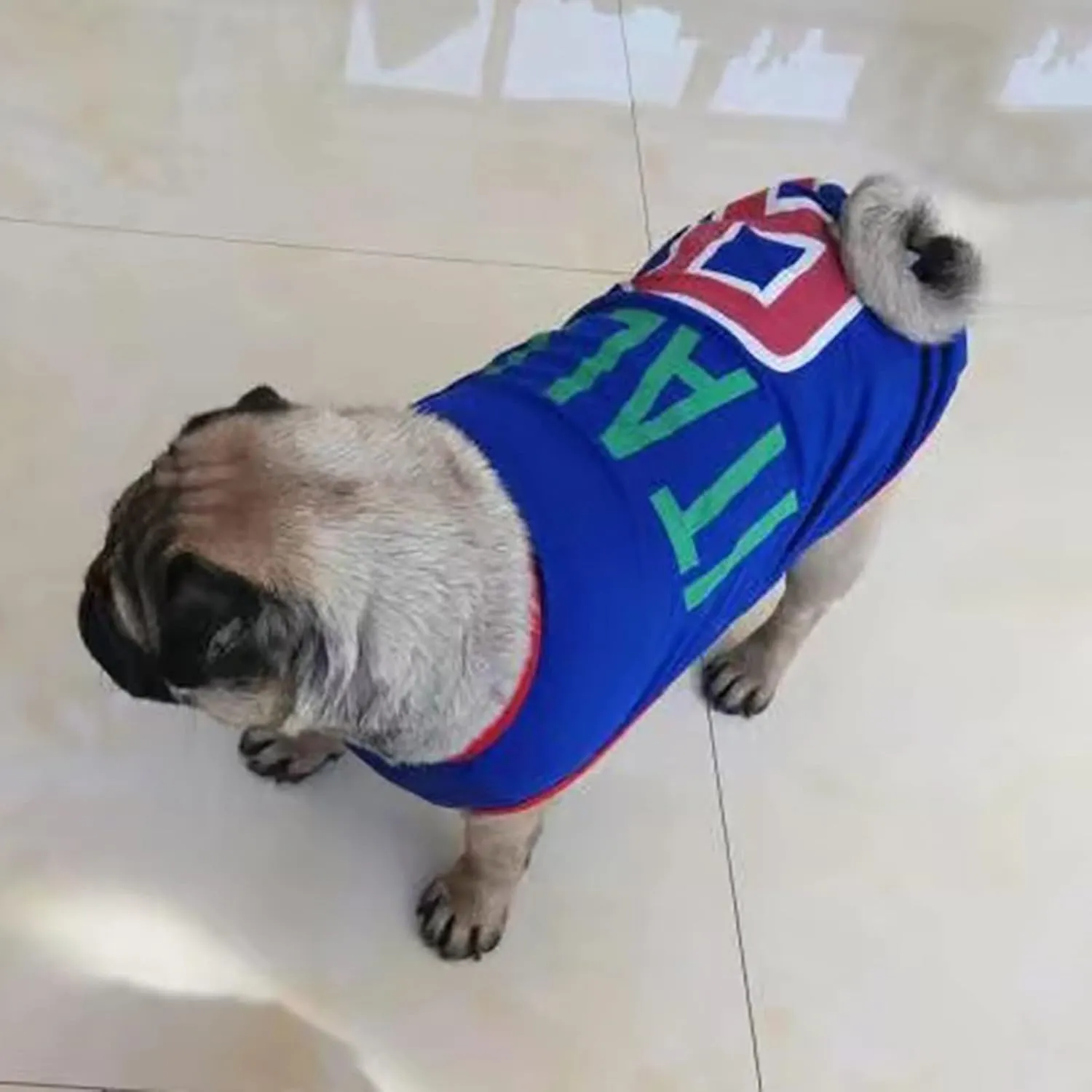 GabeFish Dog World Cup T Shirt Pets Football Jersey Sports Soccer National Team Vest Cat Summer Cool Clothes Apparel Italy 5X-Large