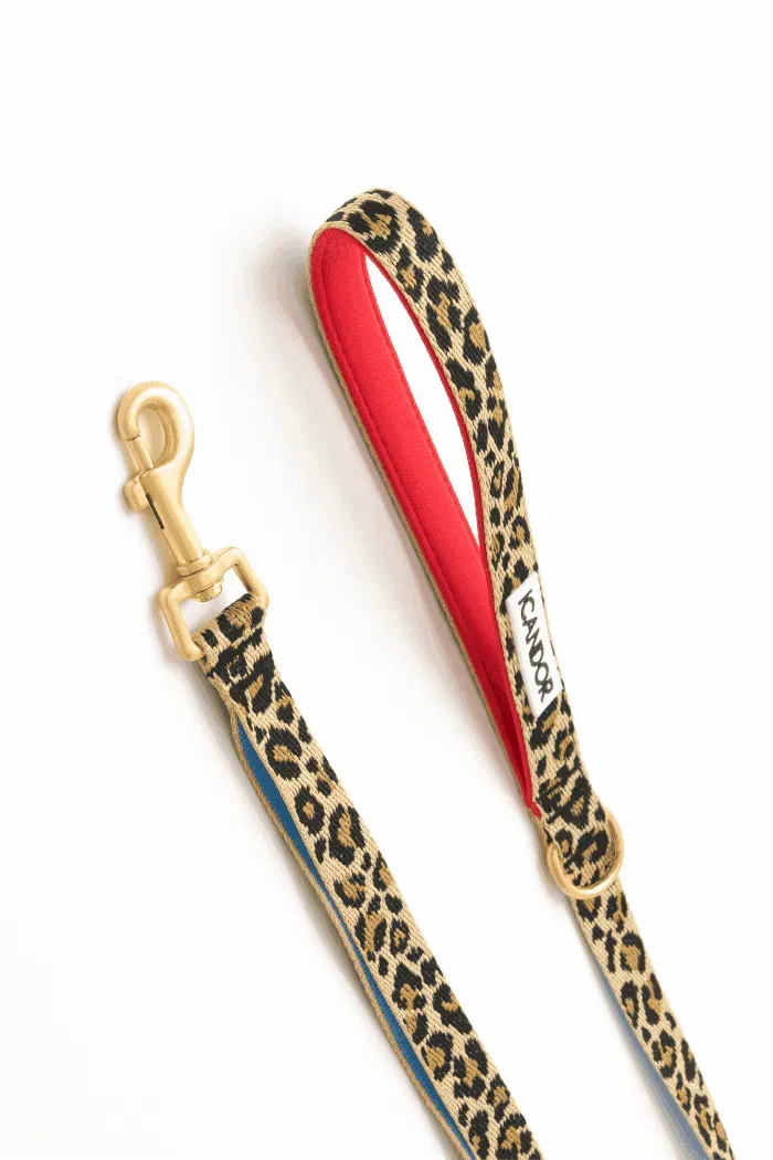 Gentle 2-Handle Dog Leash - Leopard