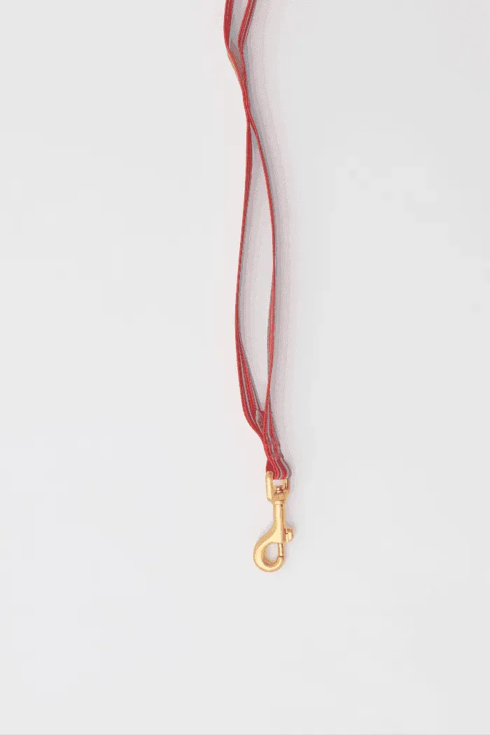 Gentle 2-Handle Dog Leash