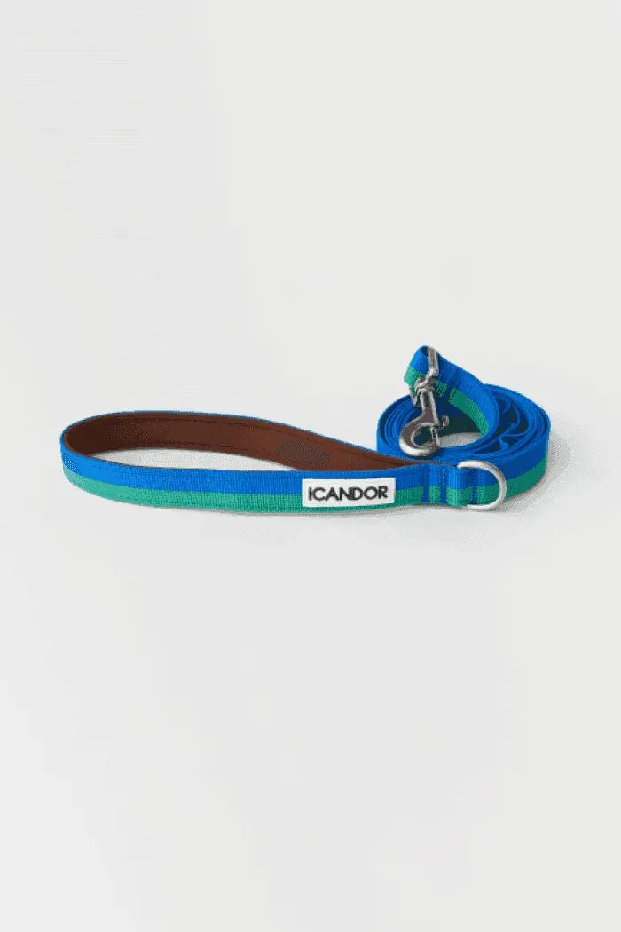 Gentle 2-Handle Dog Leash