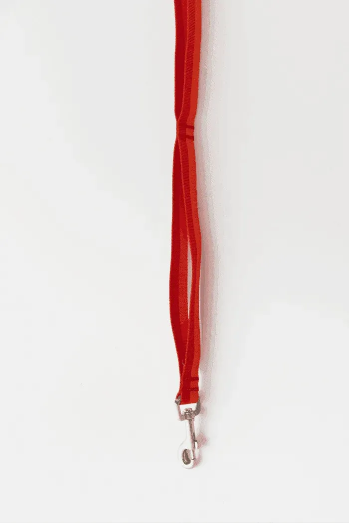 Gentle 2-Handle Dog Leash