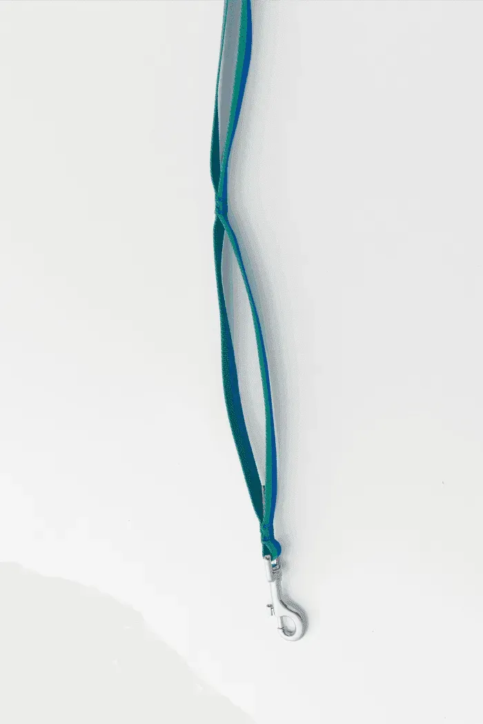 Gentle 2-Handle Dog Leash