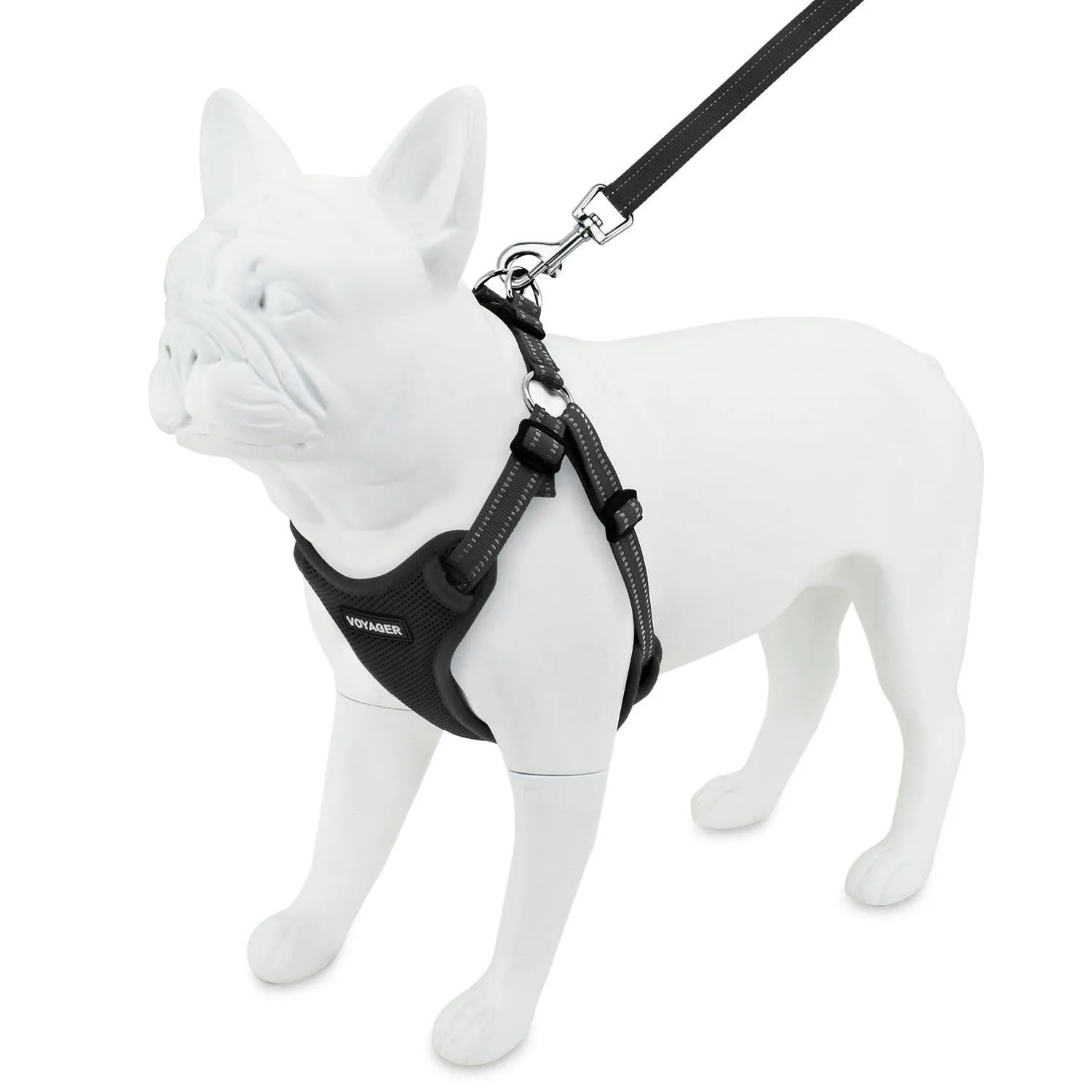 Halloween Step-In Flex Harness & Leash Set