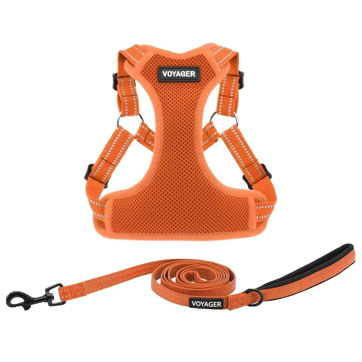Halloween Step-In Flex Harness & Leash Set