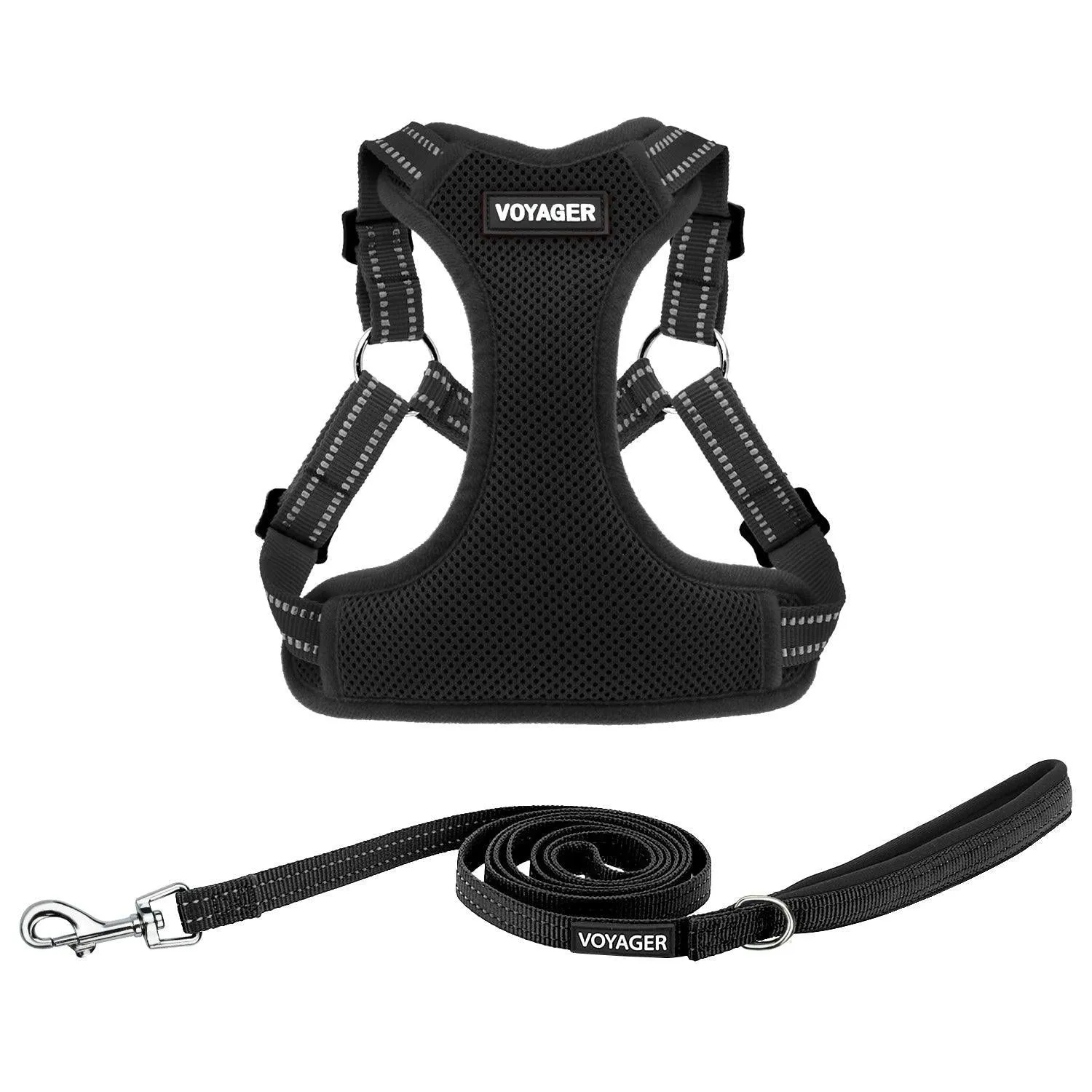 Halloween Step-In Flex Harness & Leash Set