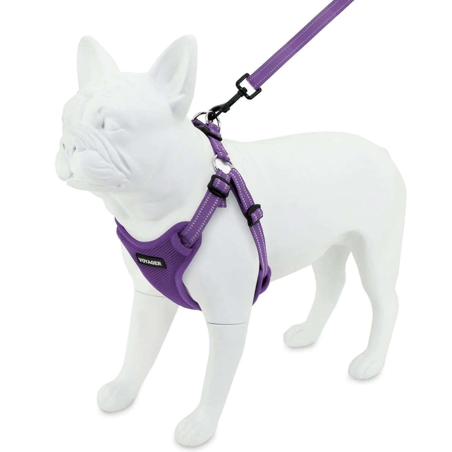 Halloween Step-In Flex Harness & Leash Set
