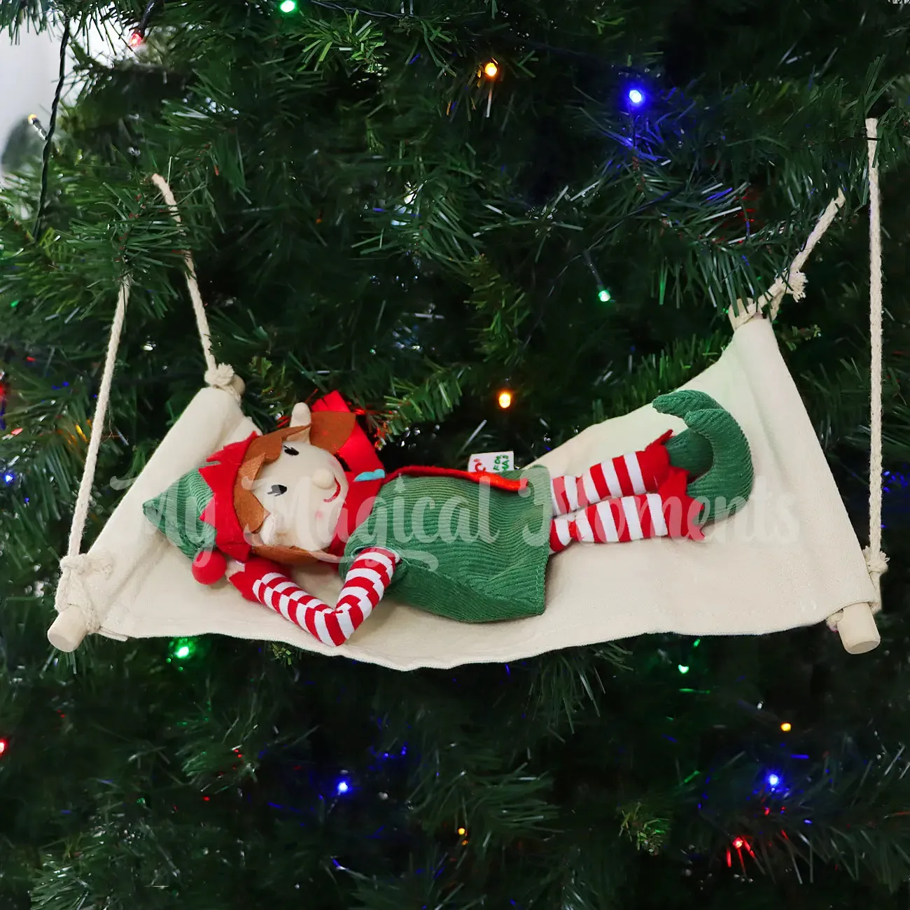 Hammock
